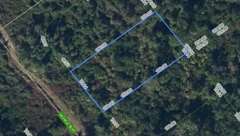 455 Nichele Blvd Property Photo 1