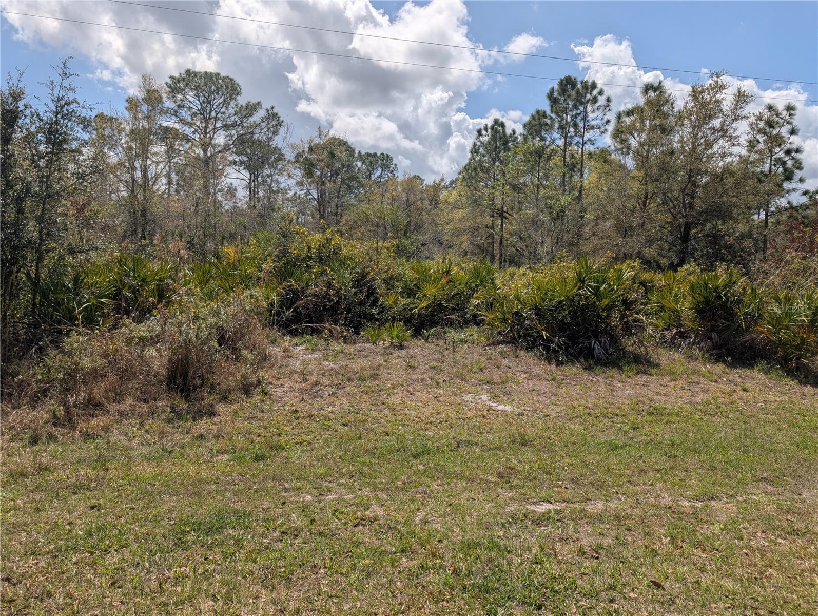 817 POINCIANA DR Property Photo 1