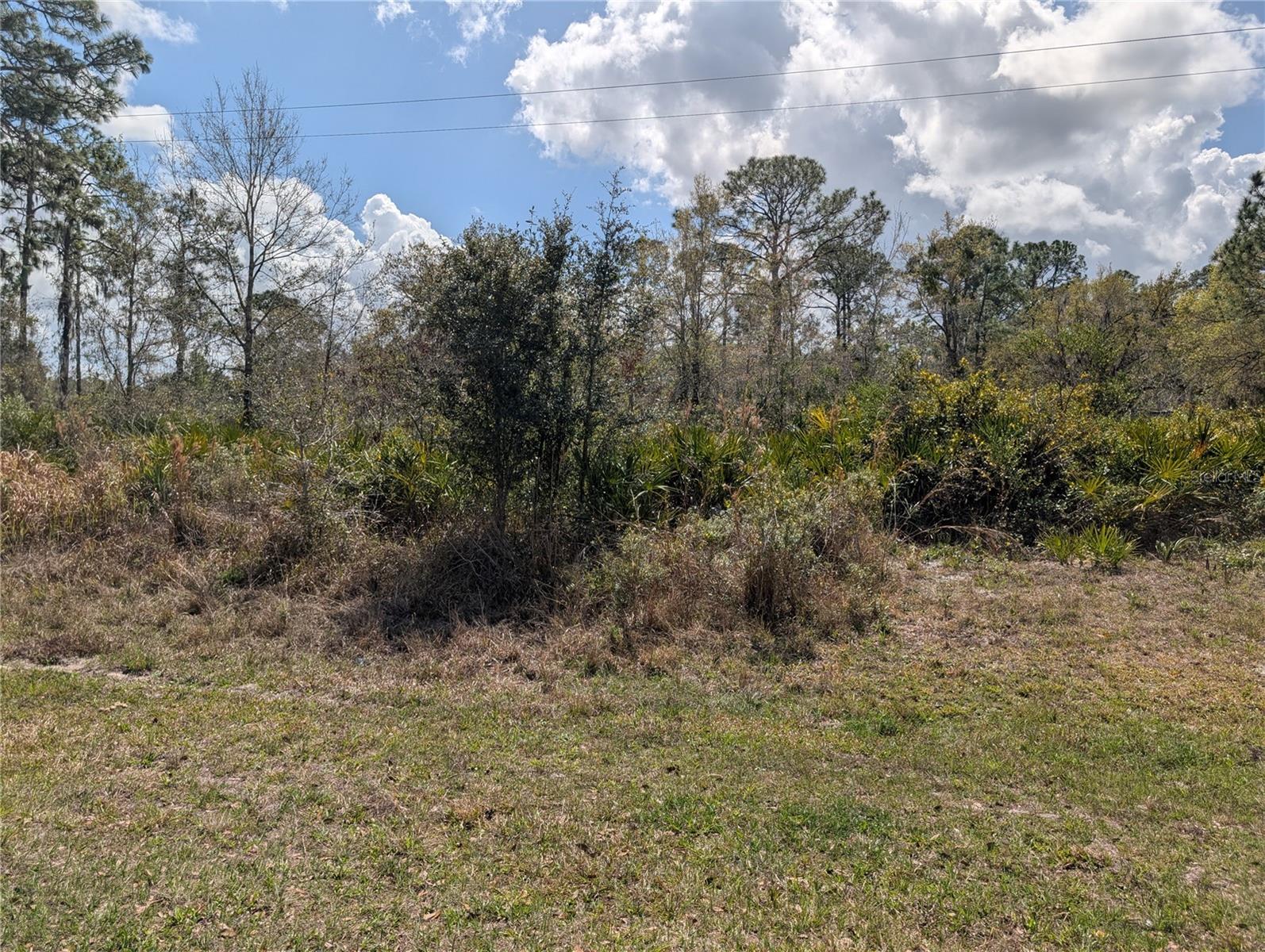 817 Poinciana Dr Property Photo 2