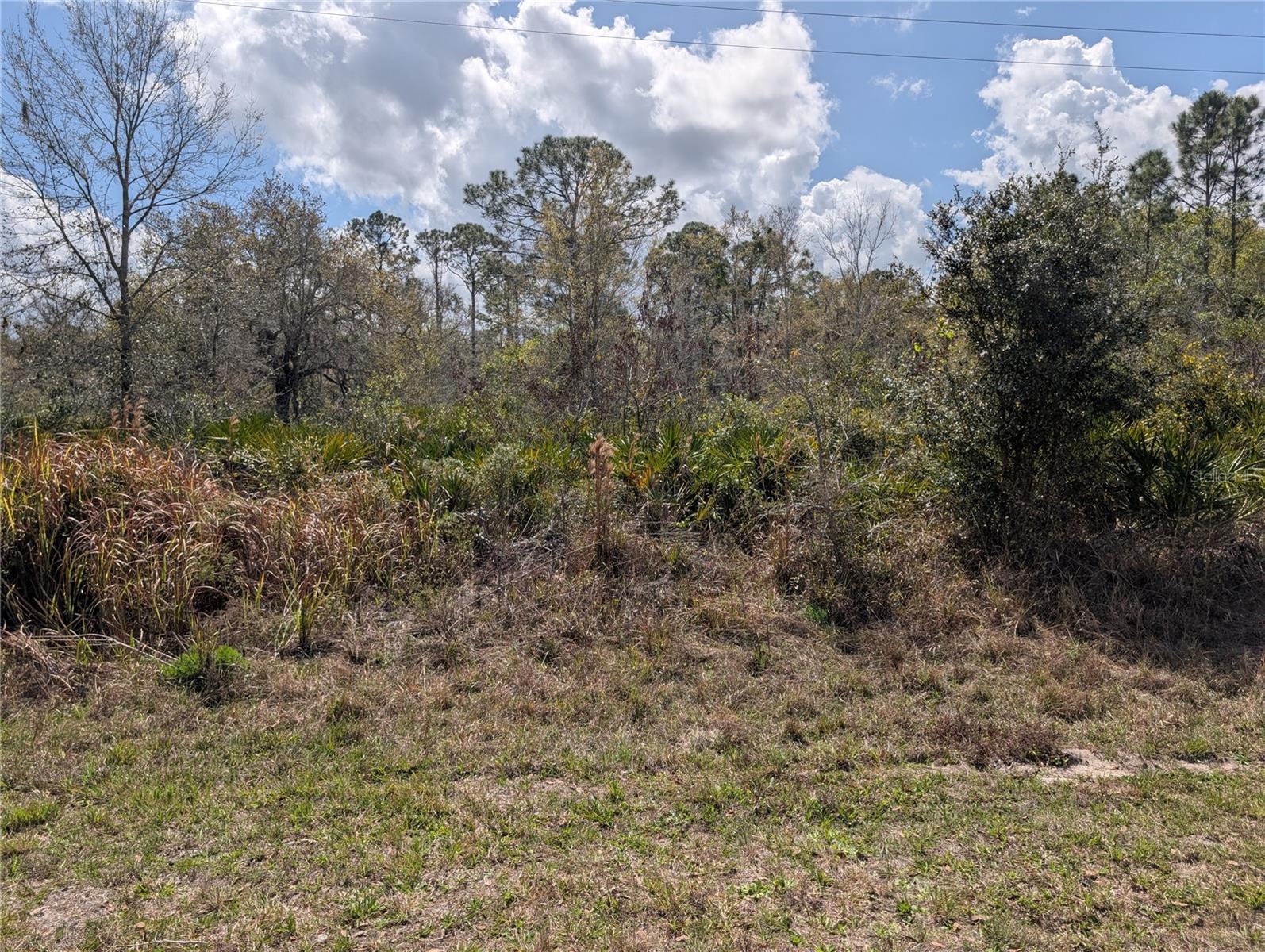 817 Poinciana Dr Property Photo 3