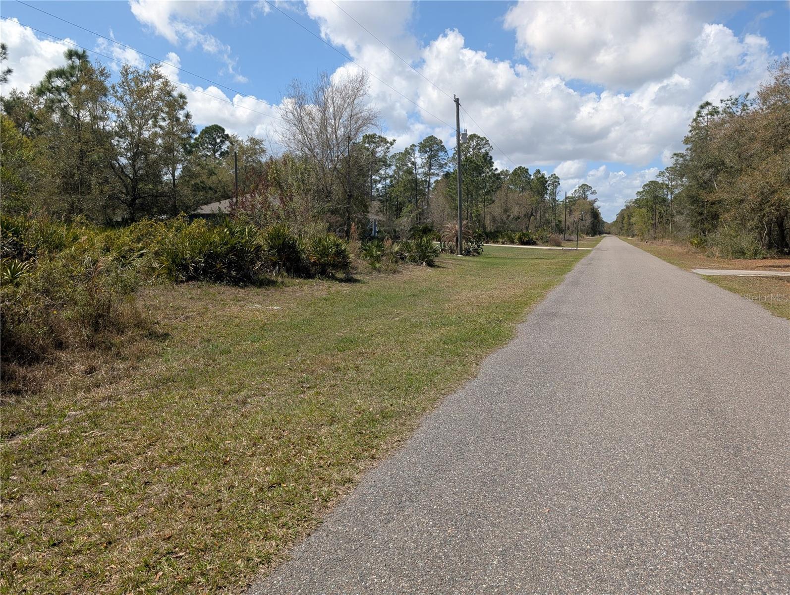 817 Poinciana Dr Property Photo 5