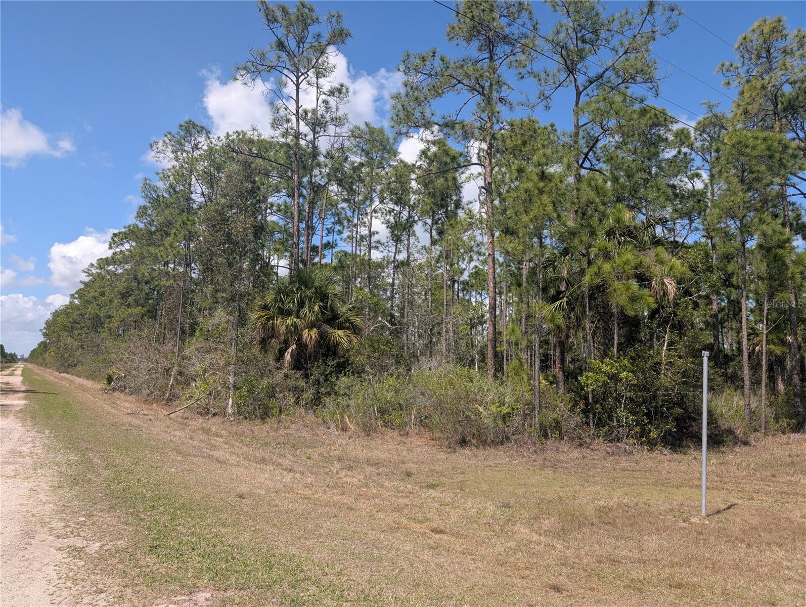 802 Althea Dr Property Photo 4