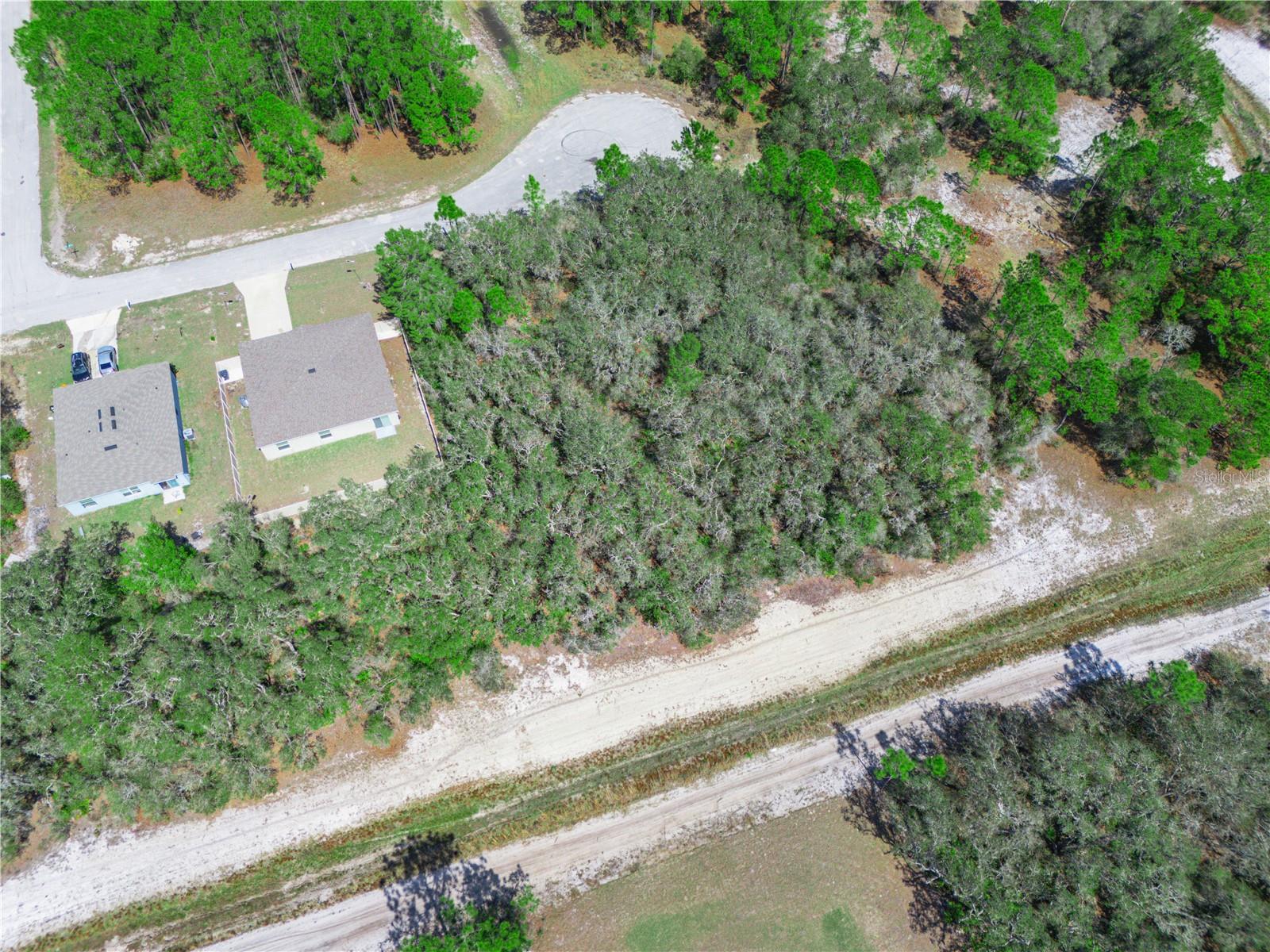 1246 Wahneta Dr Property Photo 3