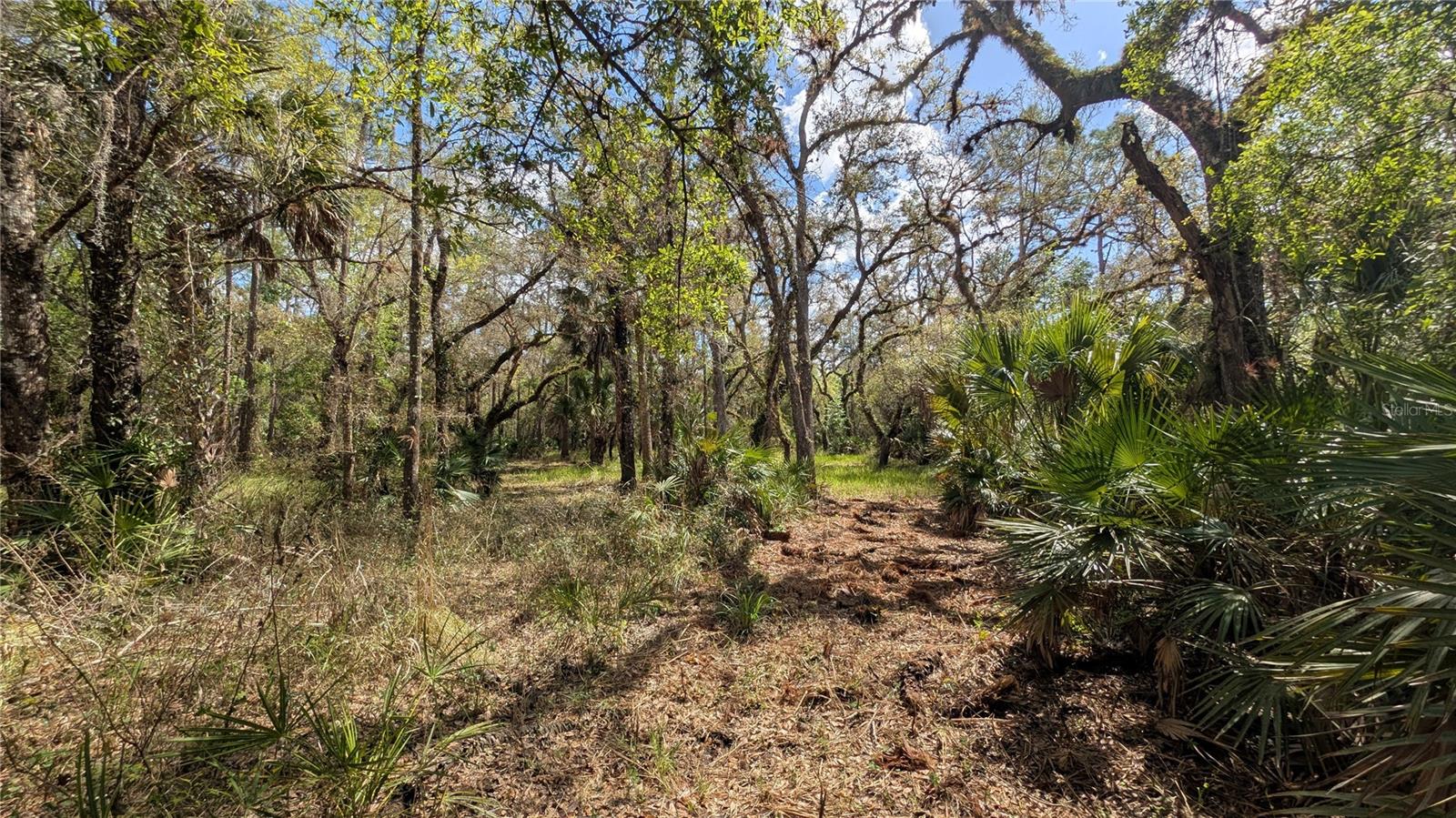 Gillette Rd Property Photo 8
