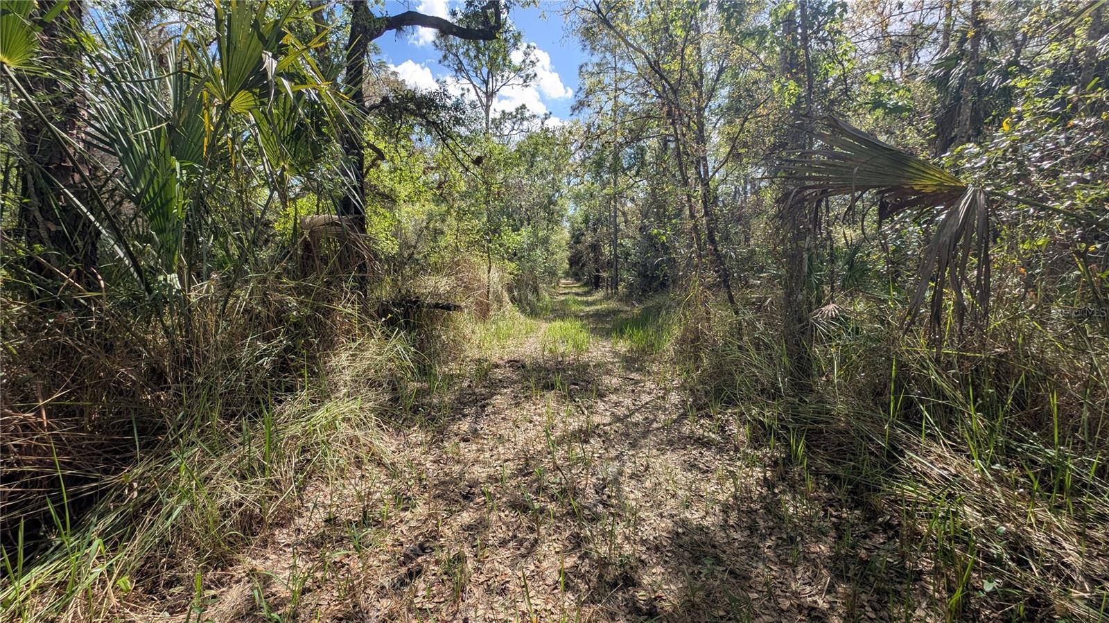 Gillette Rd Property Photo 10