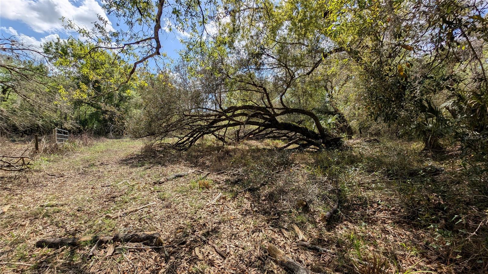 Gillette Rd Property Photo 12