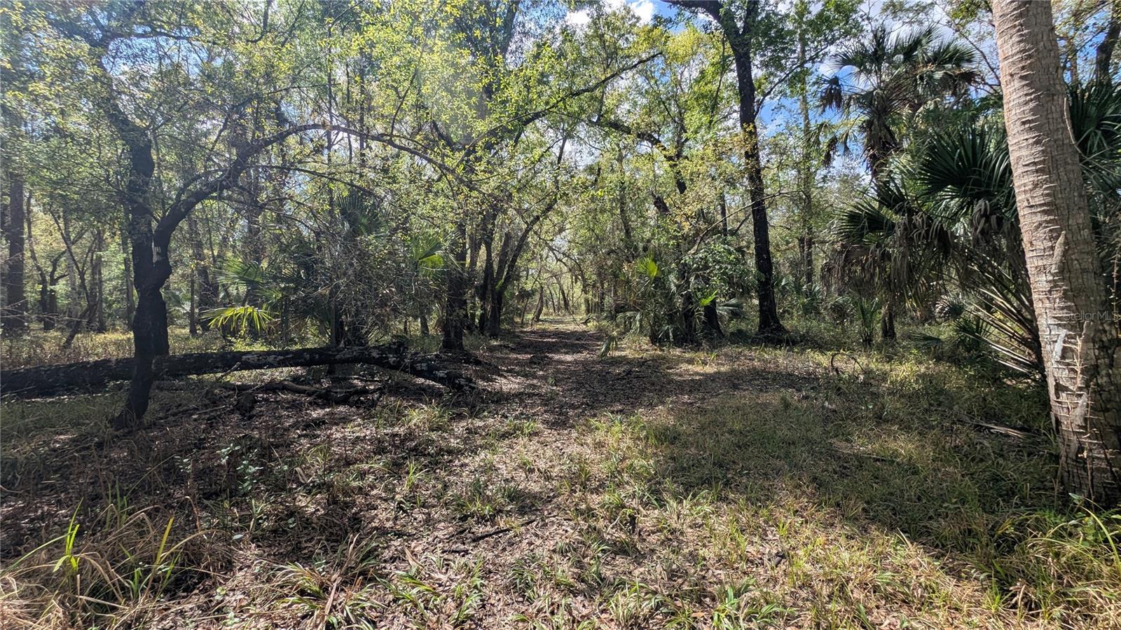Gillette Rd Property Photo 15