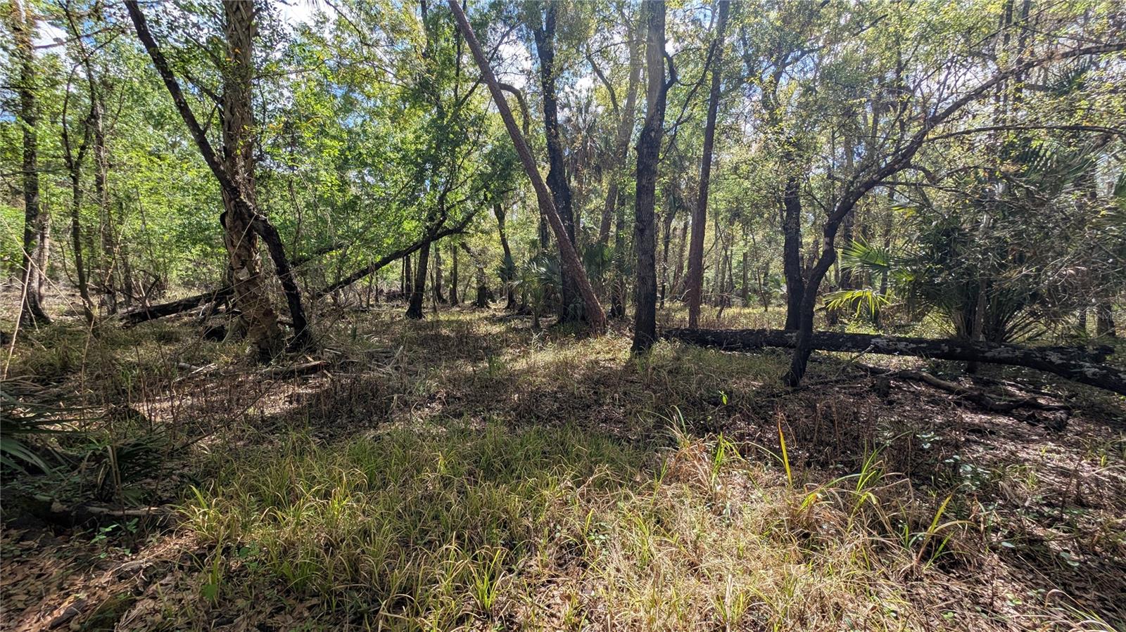 Gillette Rd Property Photo 16