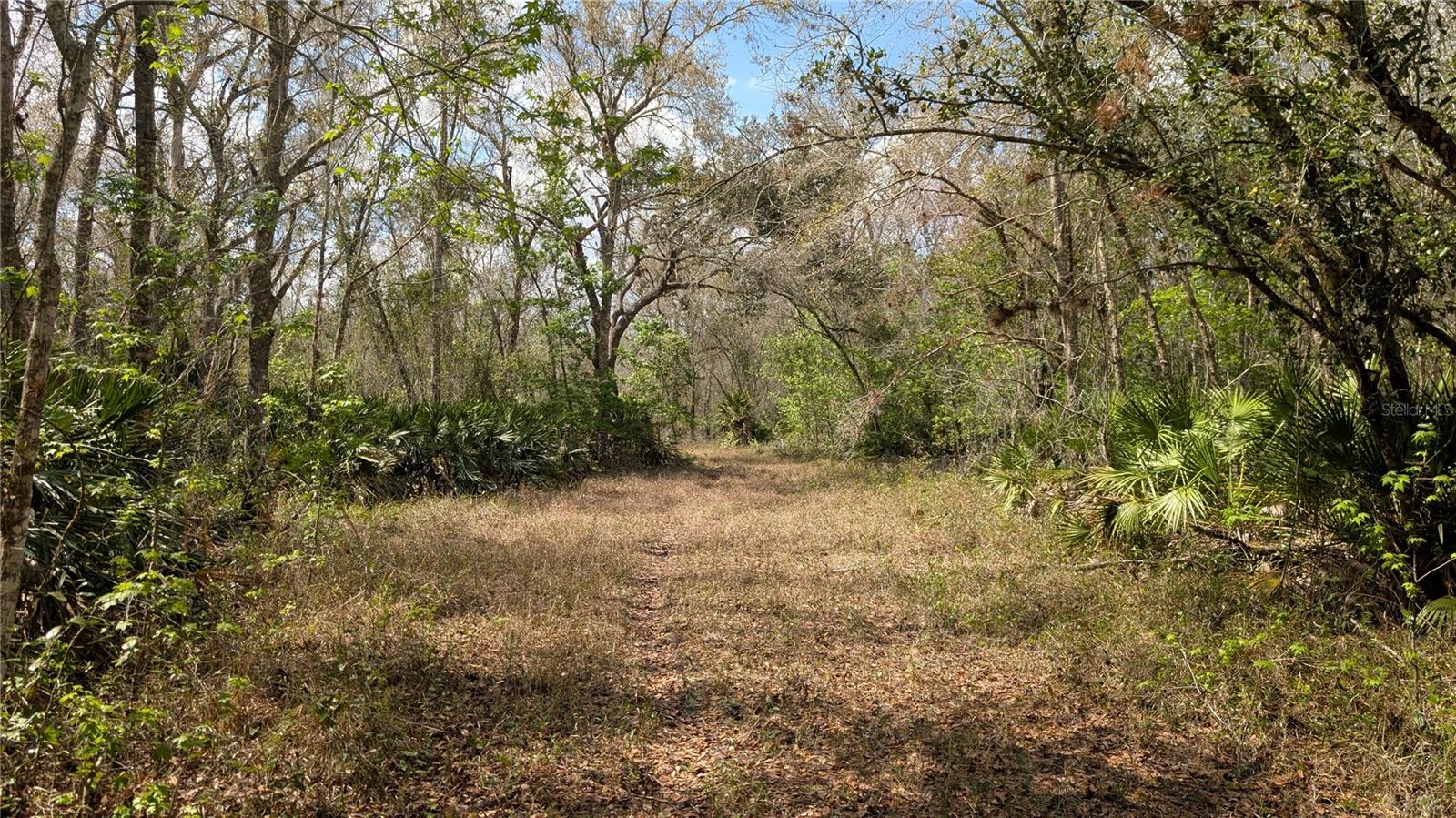 Gillette Rd Property Photo 19