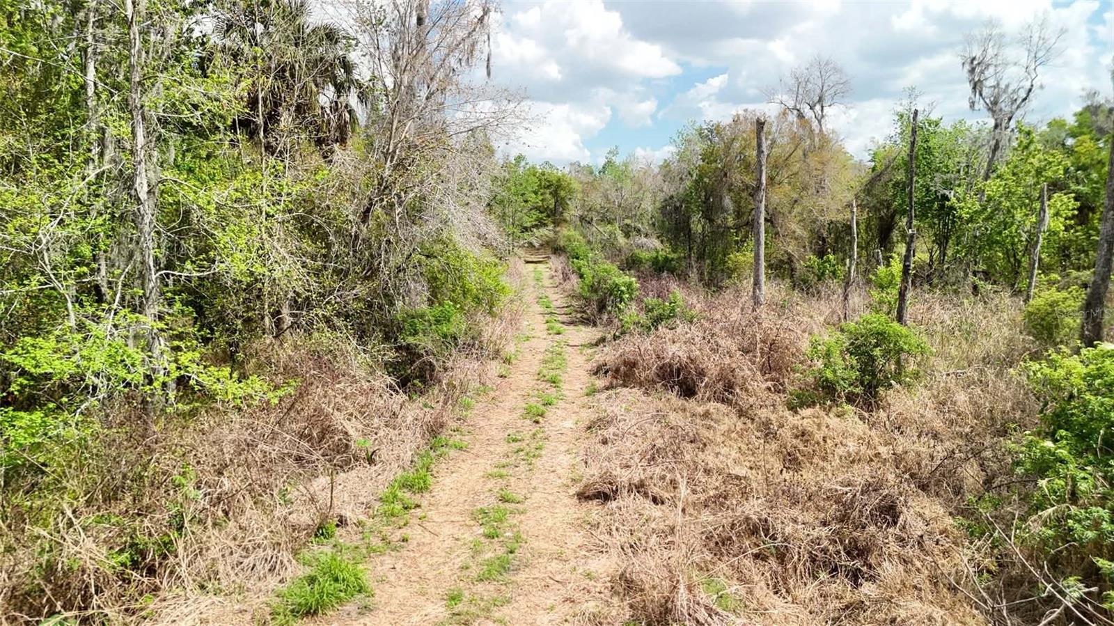 Gillette Rd Property Photo 20