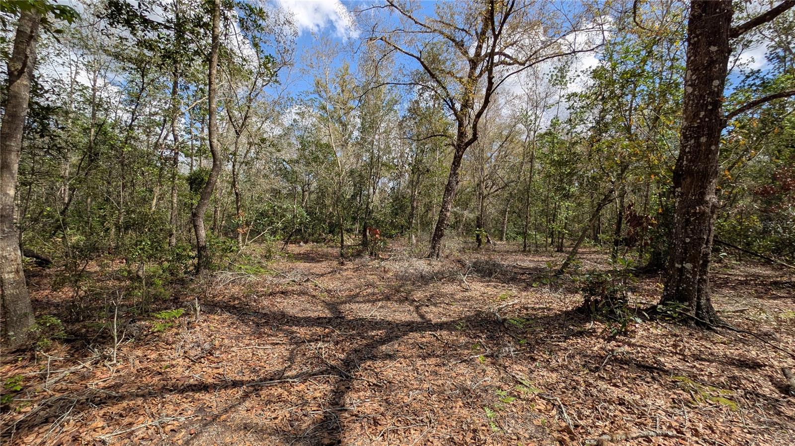 Gillette Rd Property Photo 21
