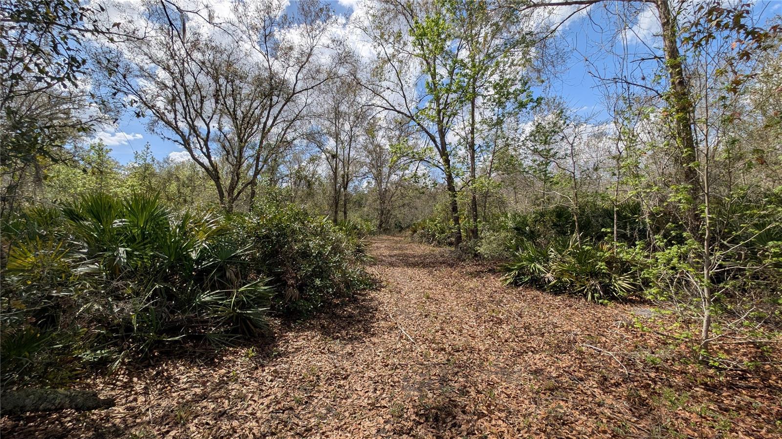 Gillette Rd Property Photo 22