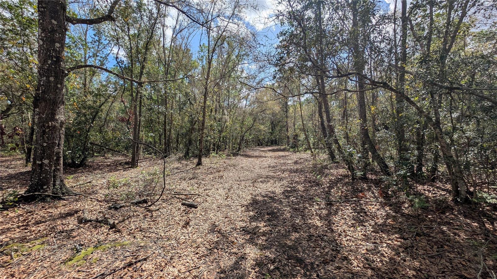 Gillette Rd Property Photo 23