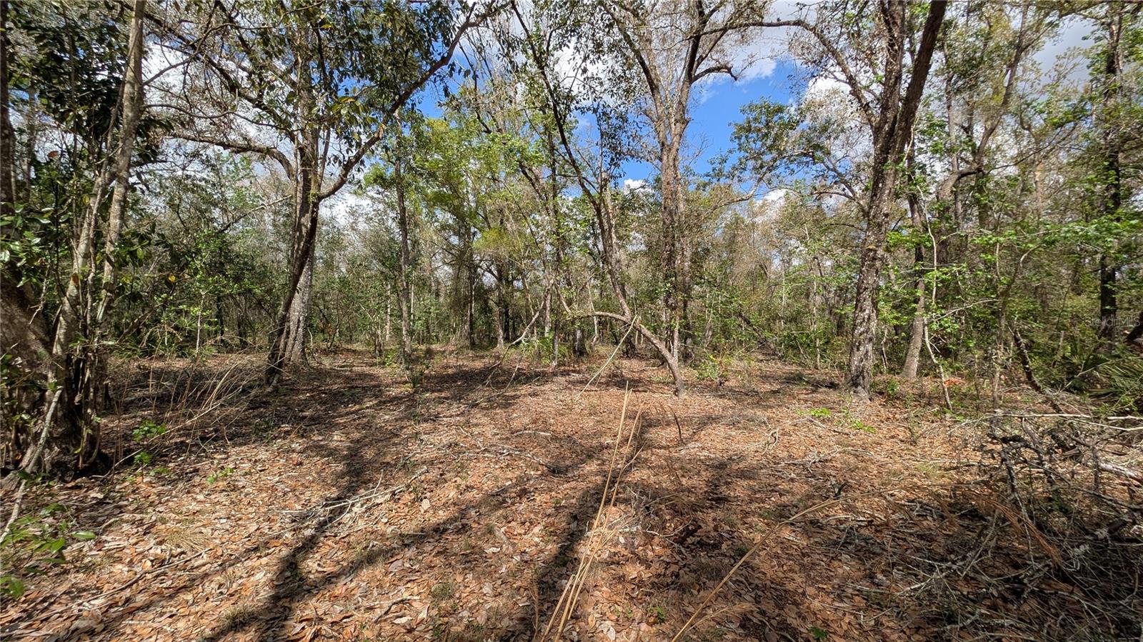 Gillette Rd Property Photo 24