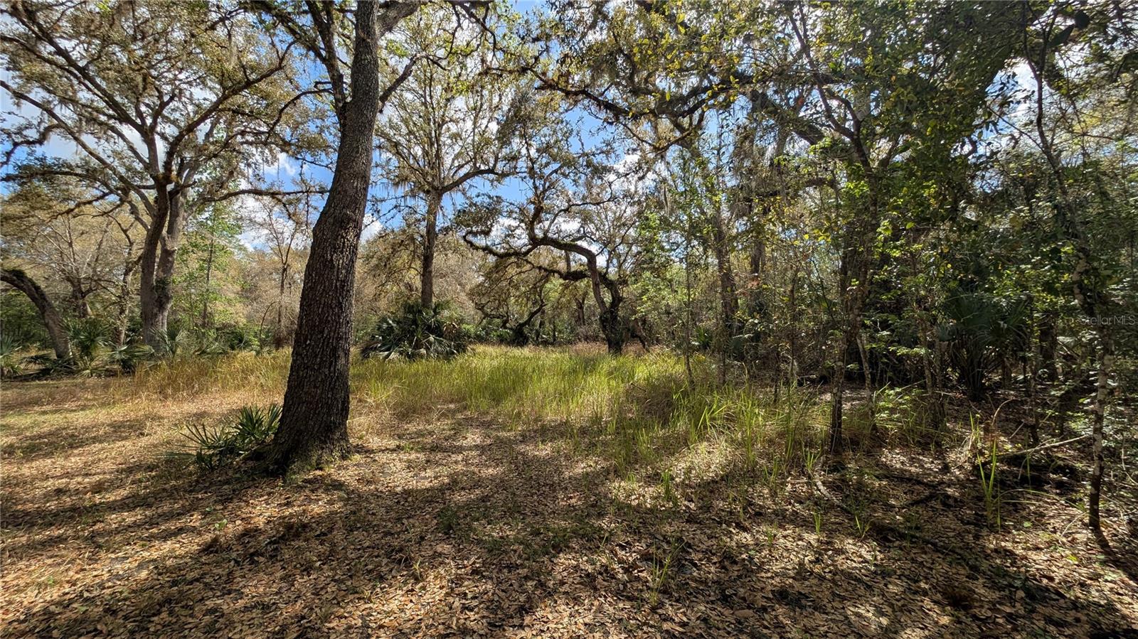 Gillette Rd Property Photo 27