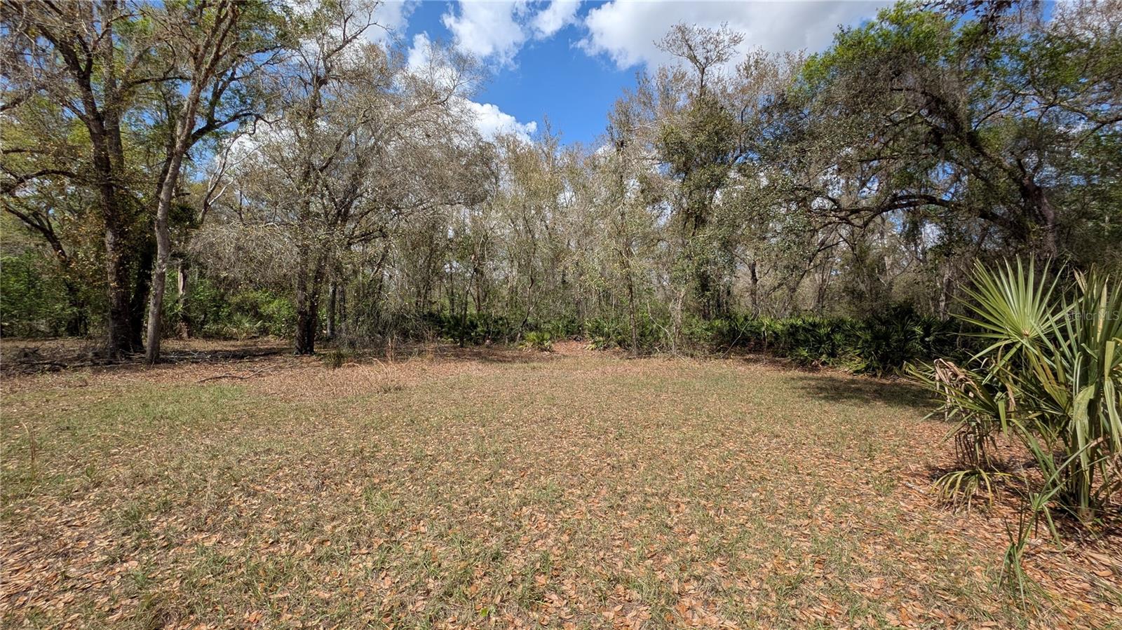Gillette Rd Property Photo 28