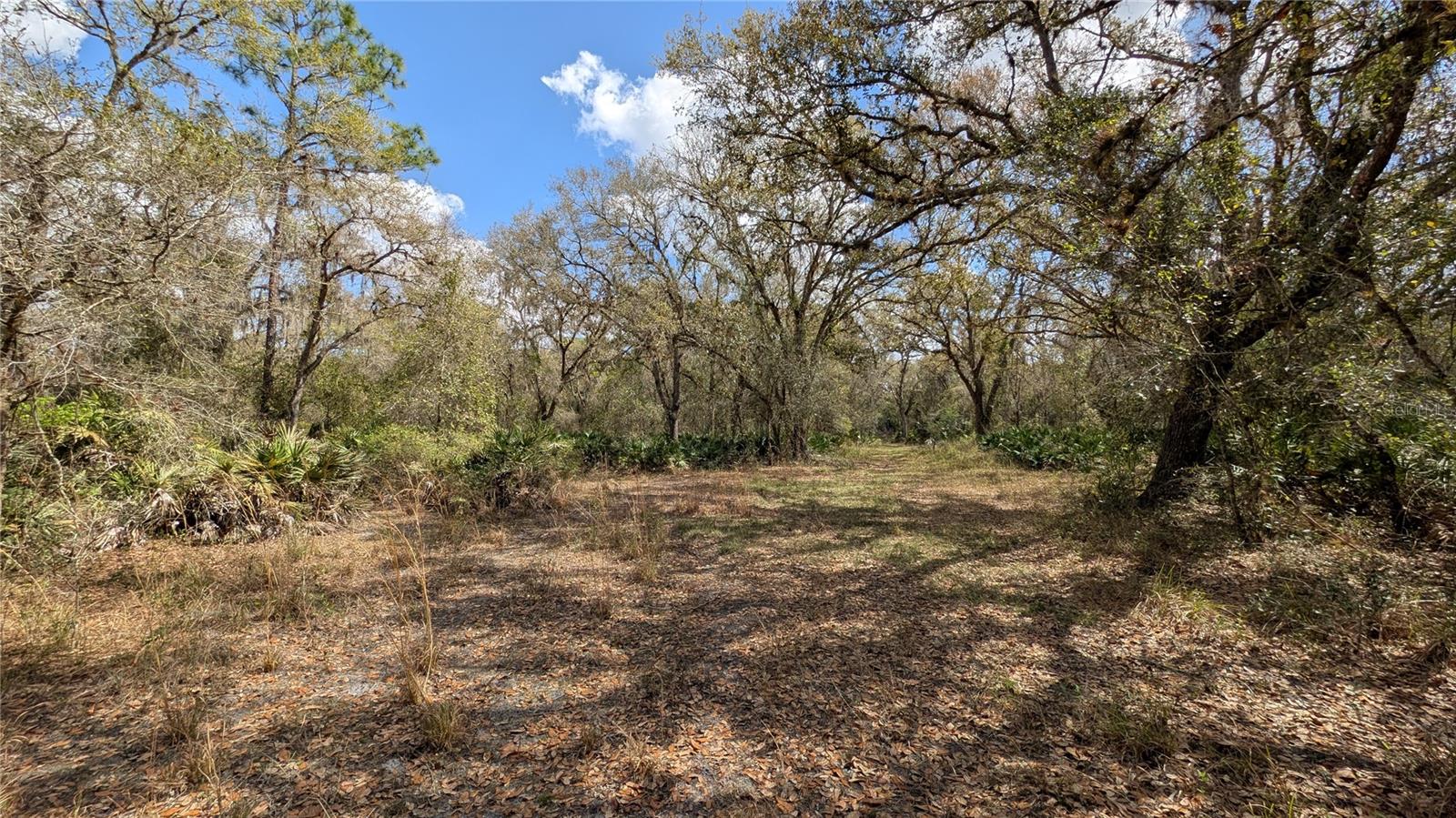 Gillette Rd Property Photo 29