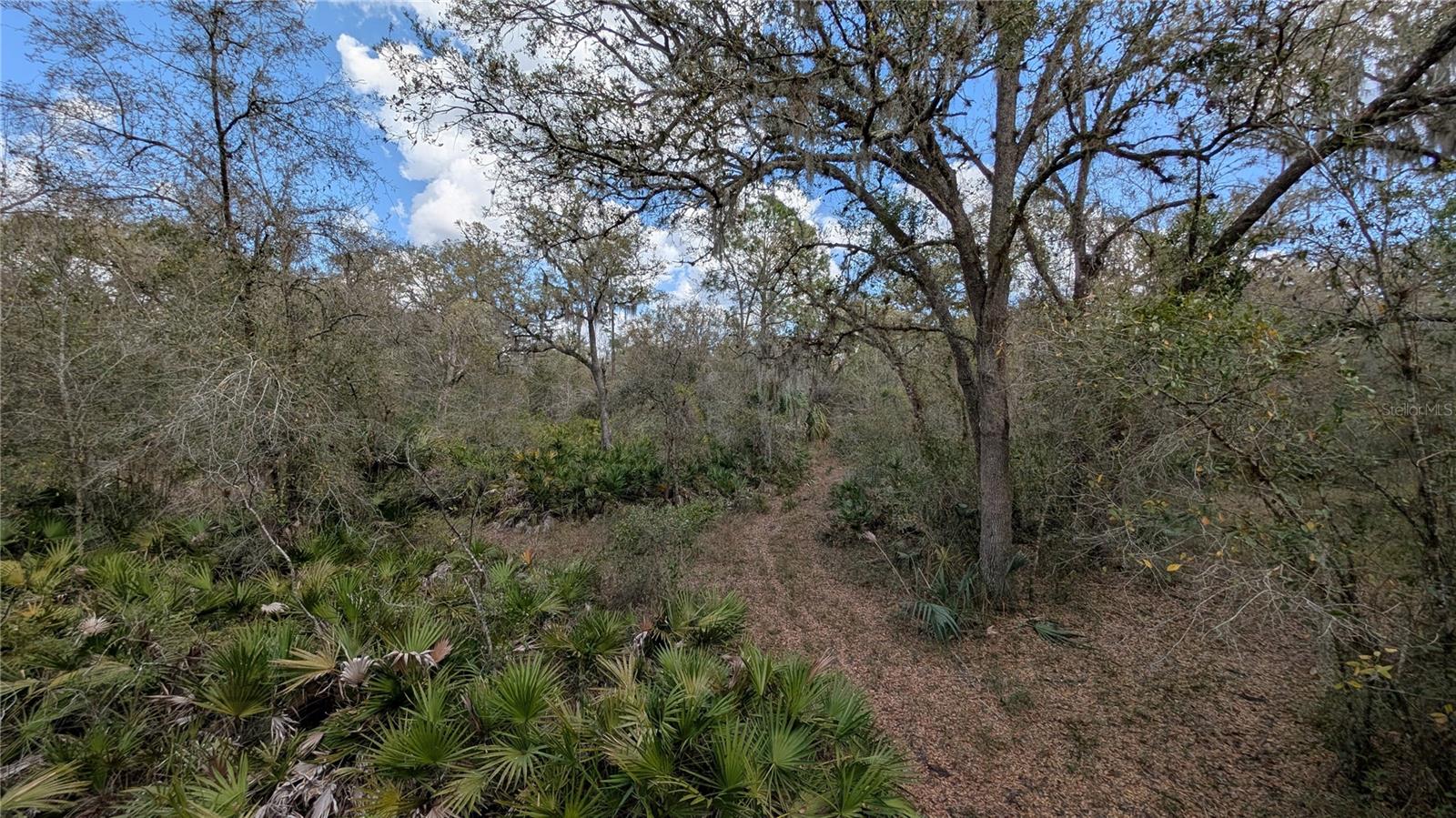 Gillette Rd Property Photo 31