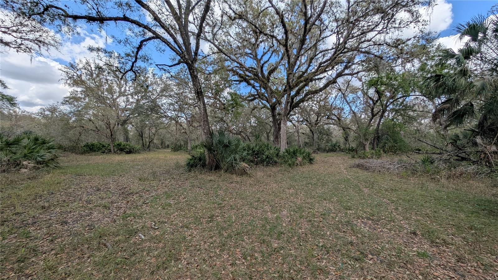 Gillette Rd Property Photo 34