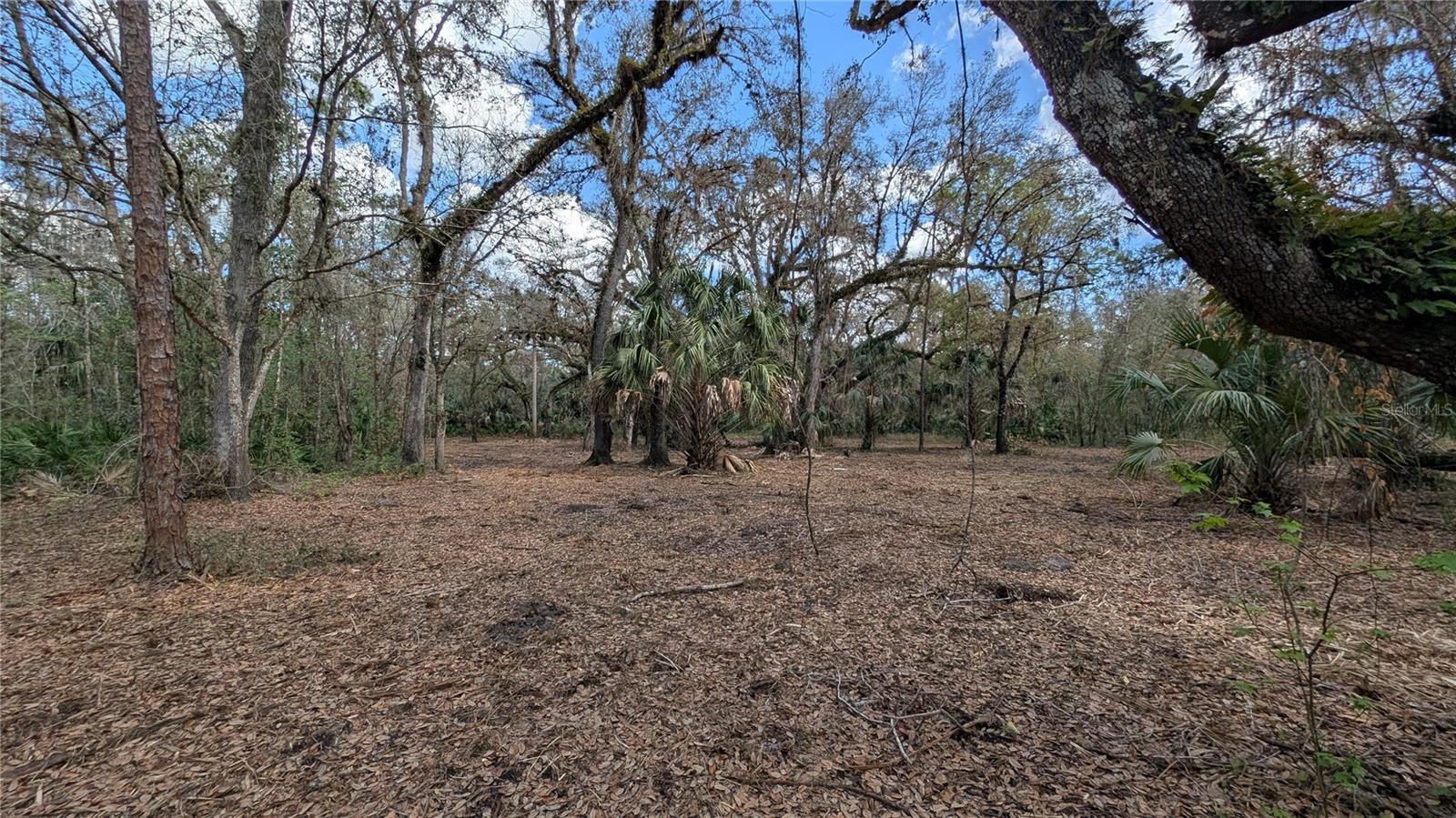 Gillette Rd Property Photo 35