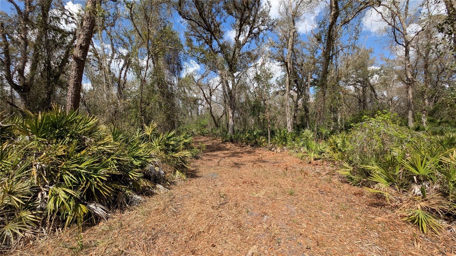 Gillette Rd Property Photo 36