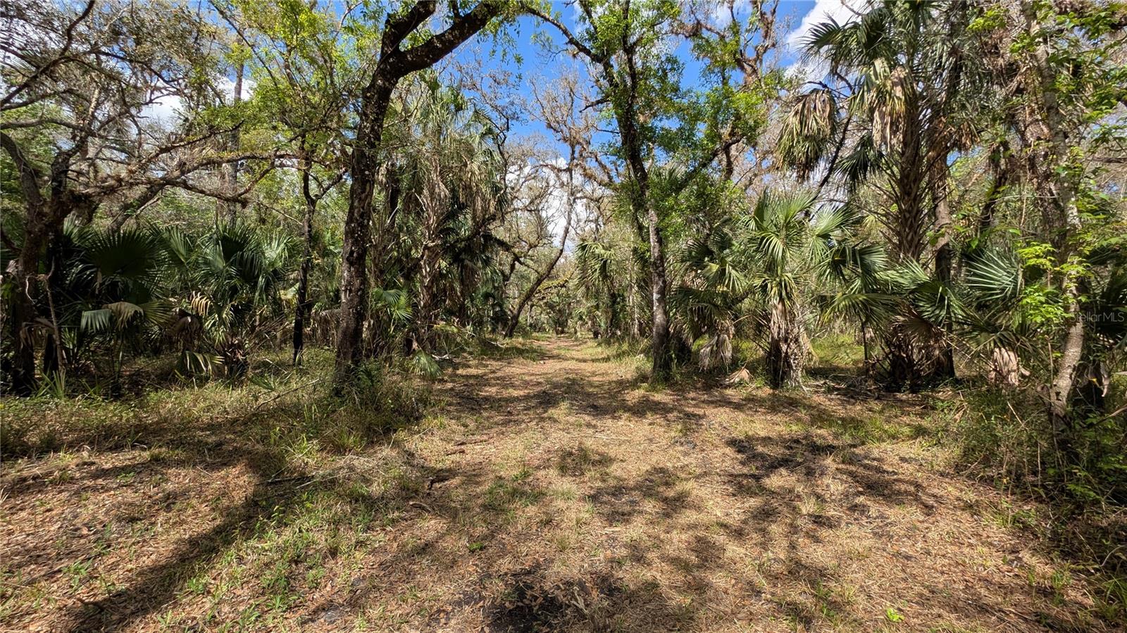 Gillette Rd Property Photo 37