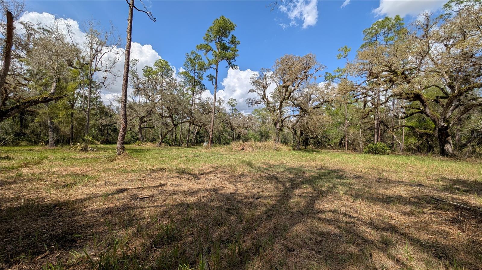 Gillette Rd Property Photo 39
