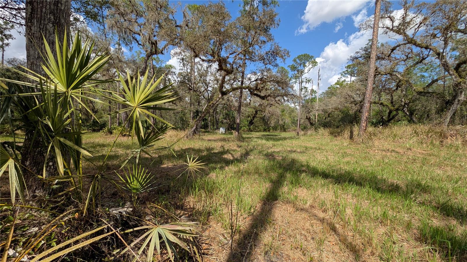 Gillette Rd Property Photo 40