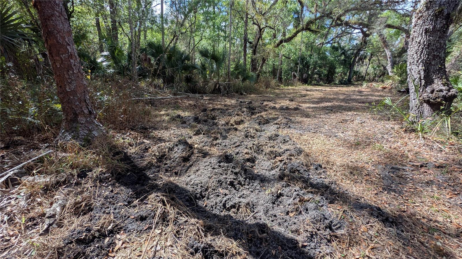 Gillette Rd Property Photo 41