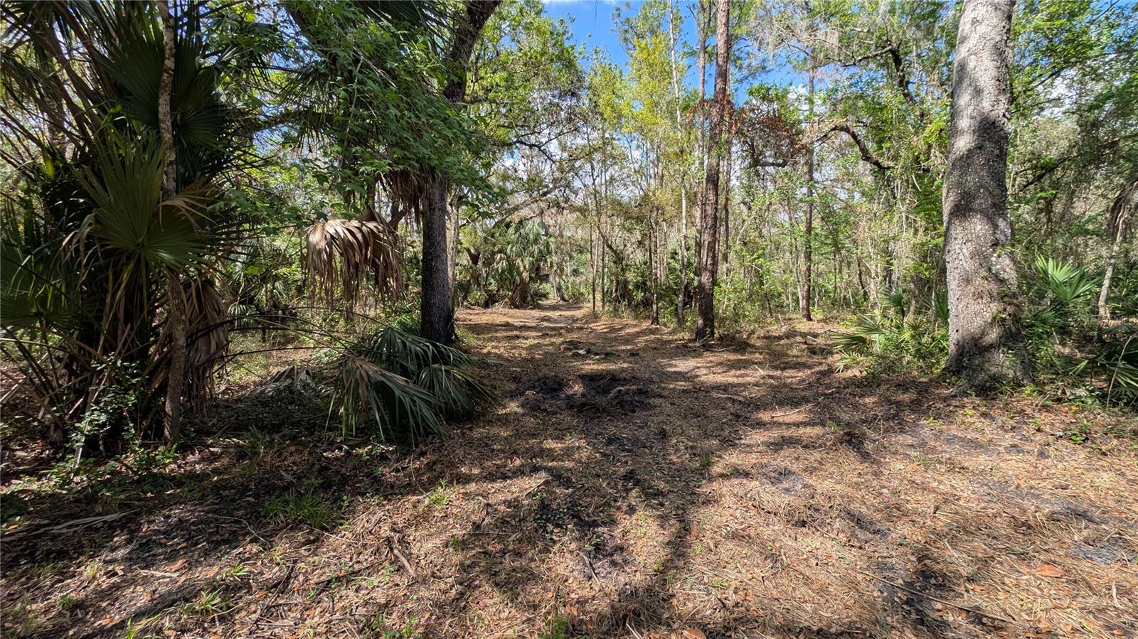 Gillette Rd Property Photo 45