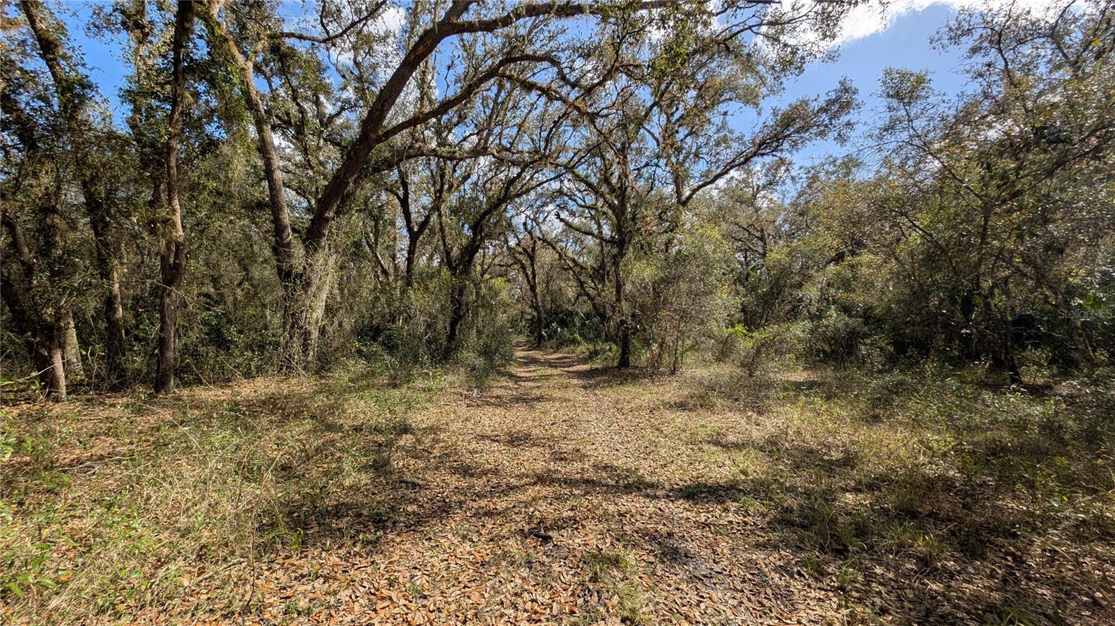 Gillette Rd Property Photo 46