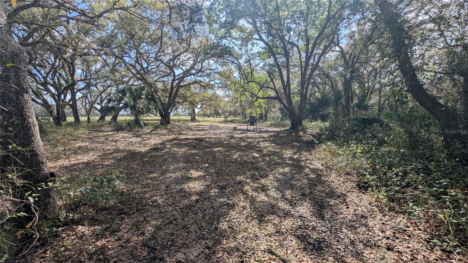 Gillette Rd Property Photo 48