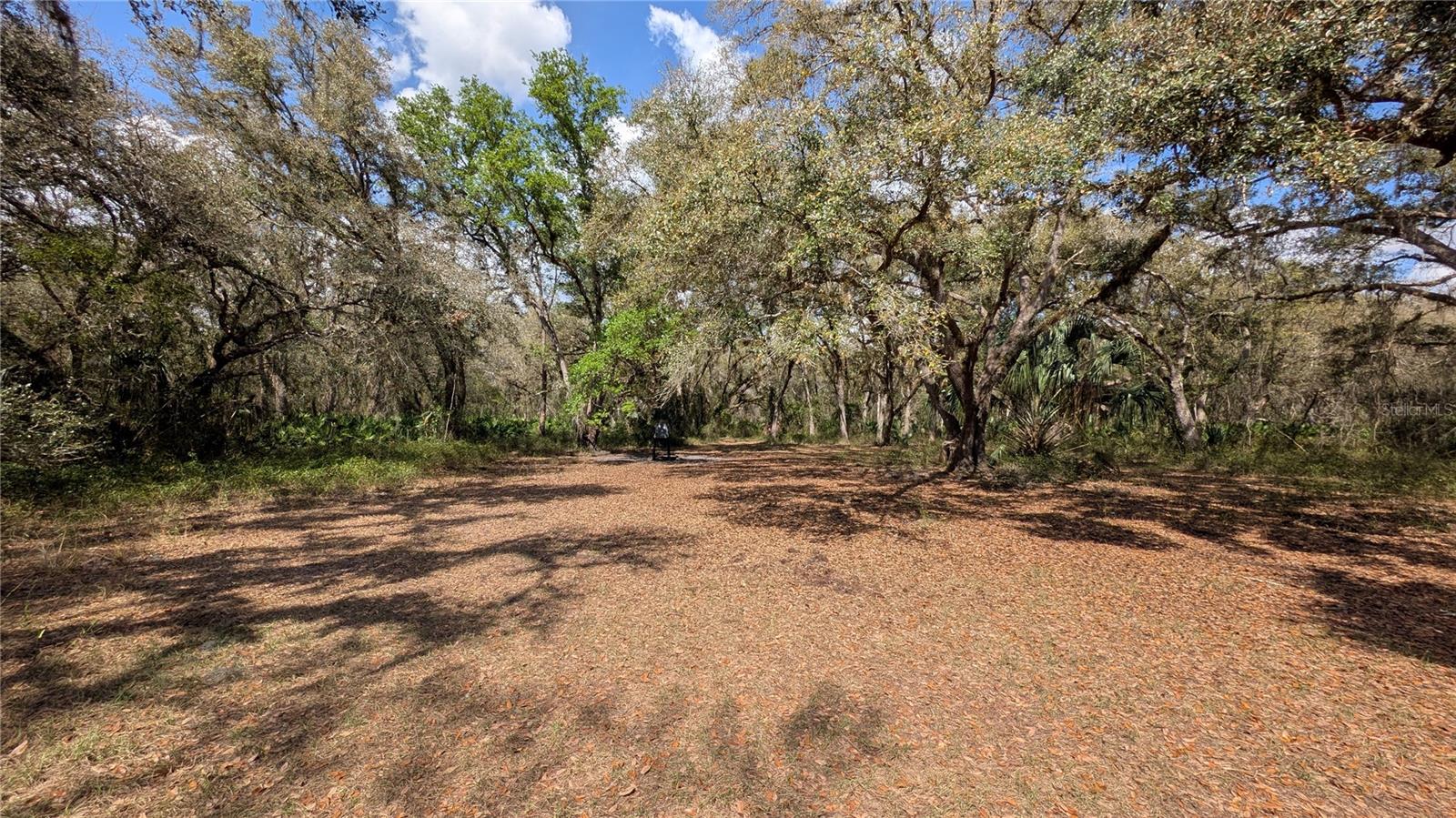 Gillette Rd Property Photo 49