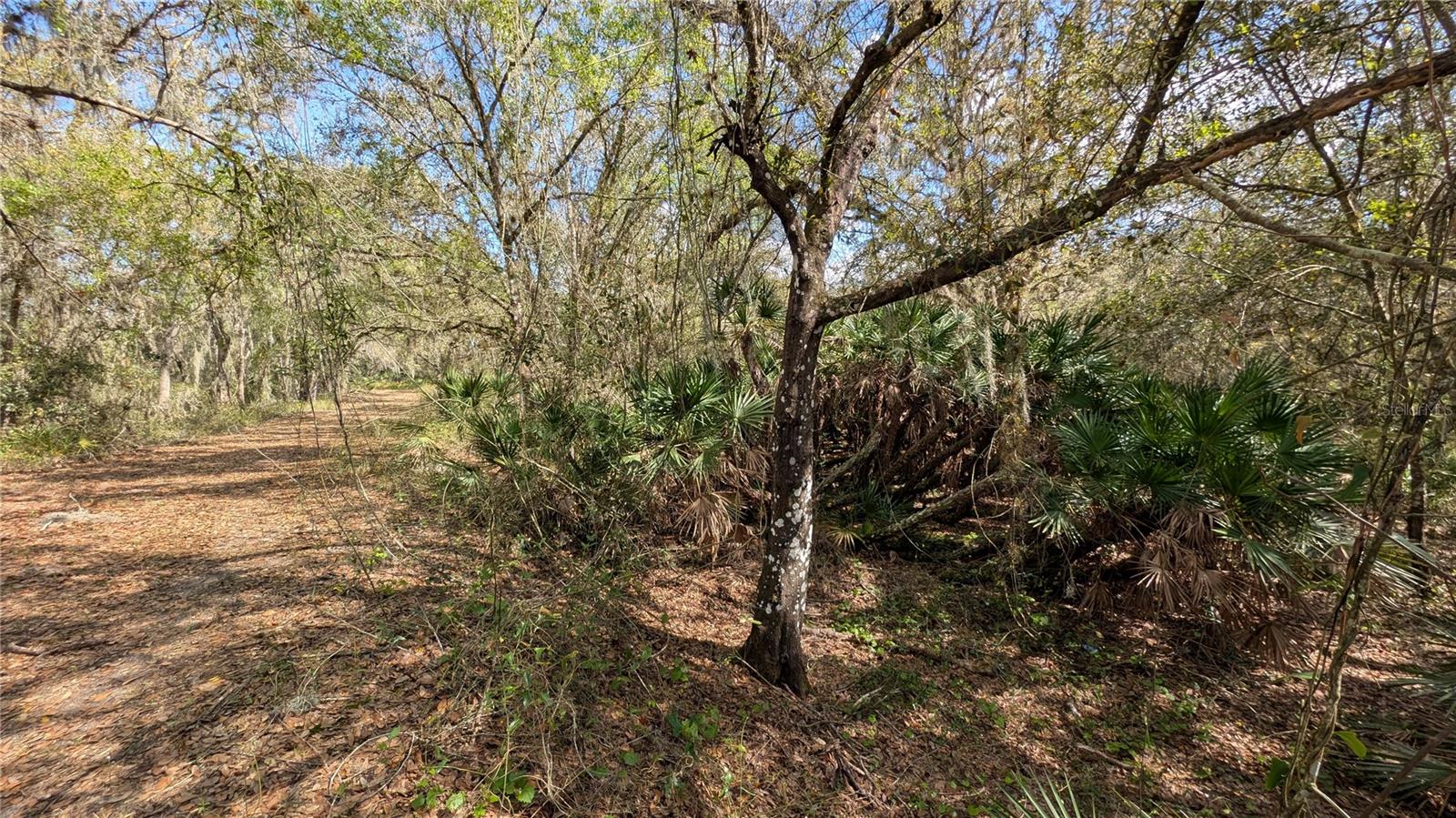 Gillette Rd Property Photo 50