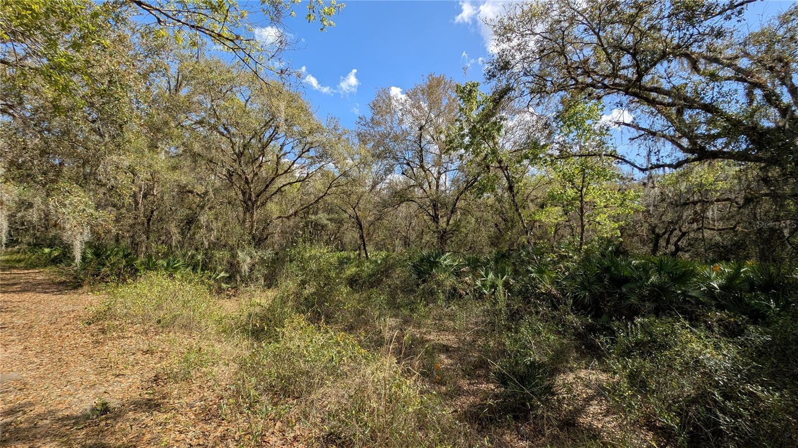 Gillette Rd Property Photo 52
