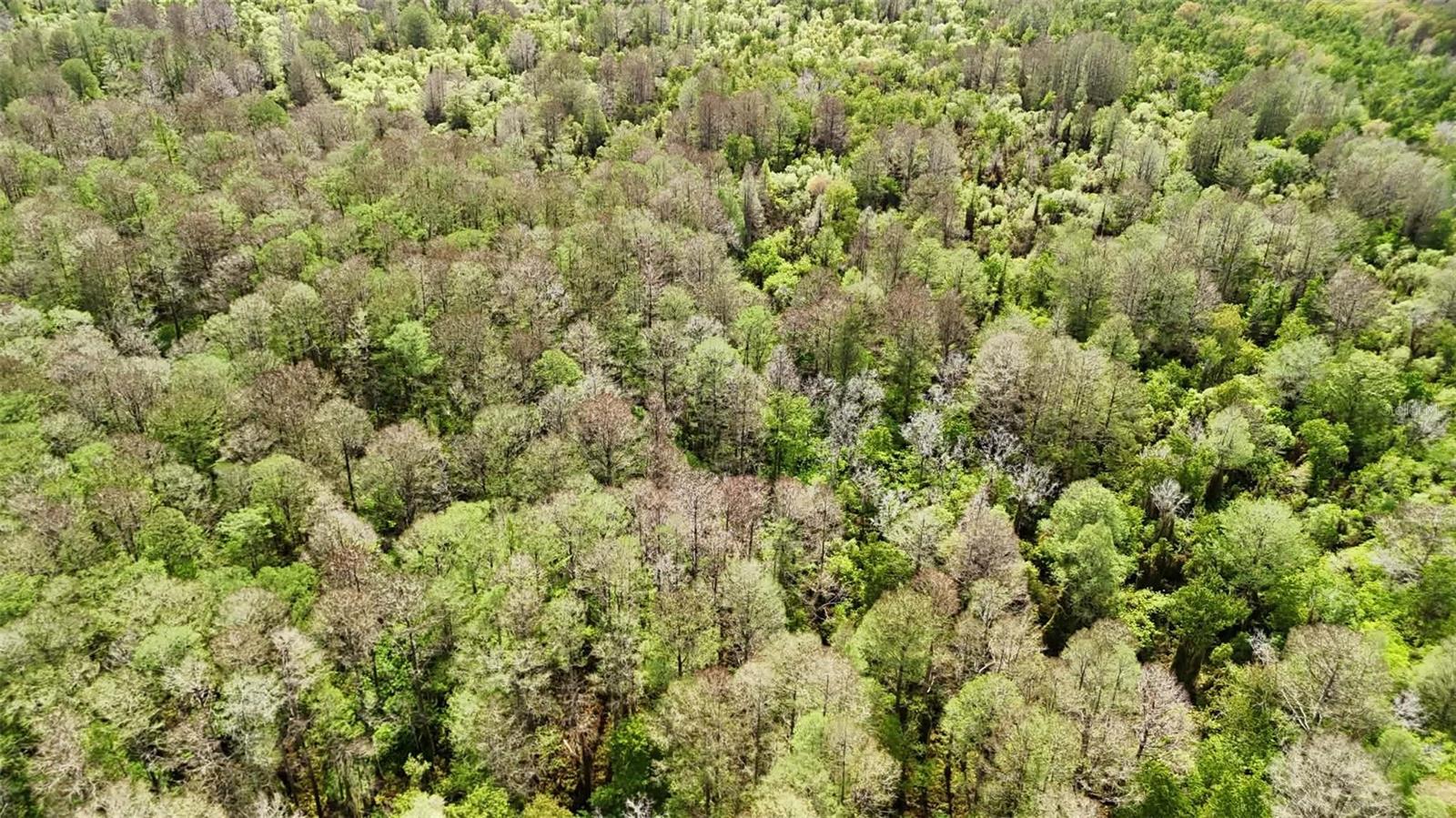 Gillette Rd Property Photo 61