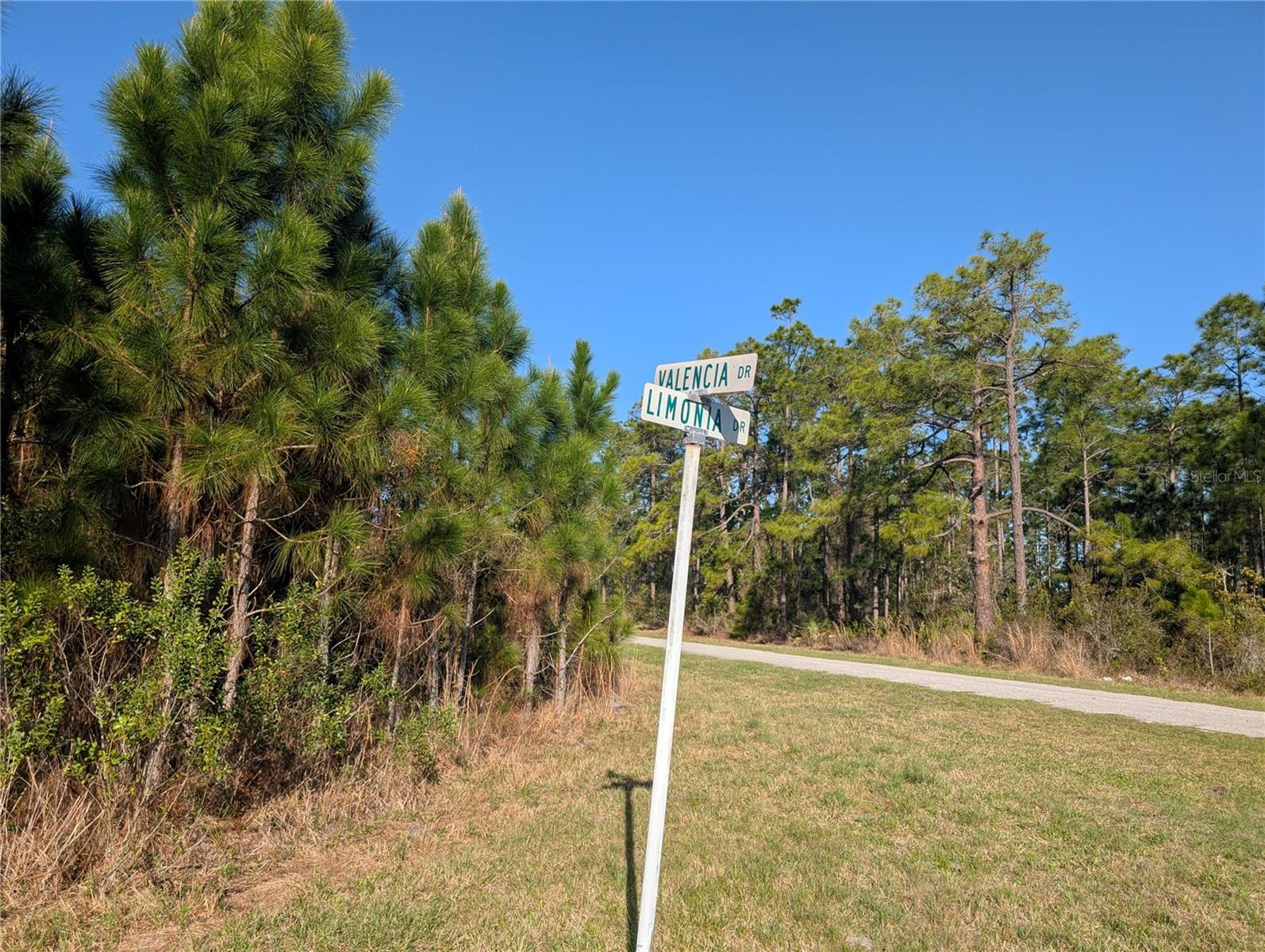 207 Valencia Dr Property Photo 46