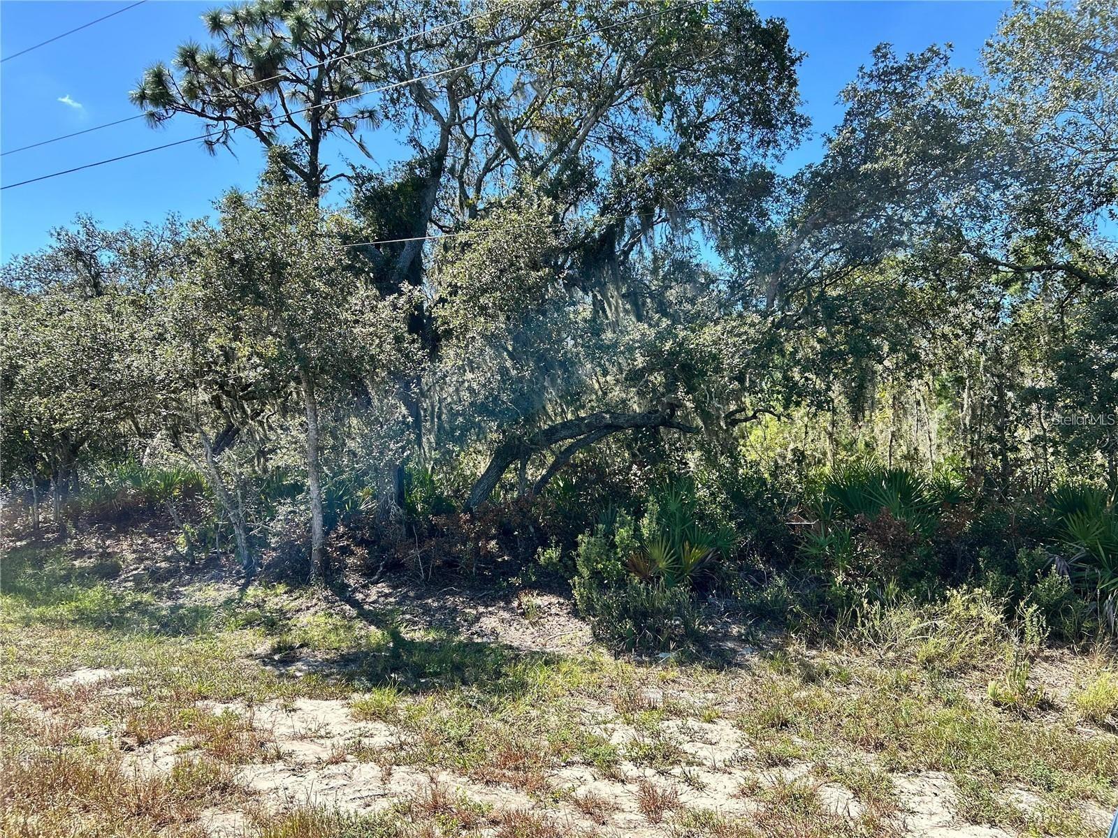 Woodstork Way Property Photo 1