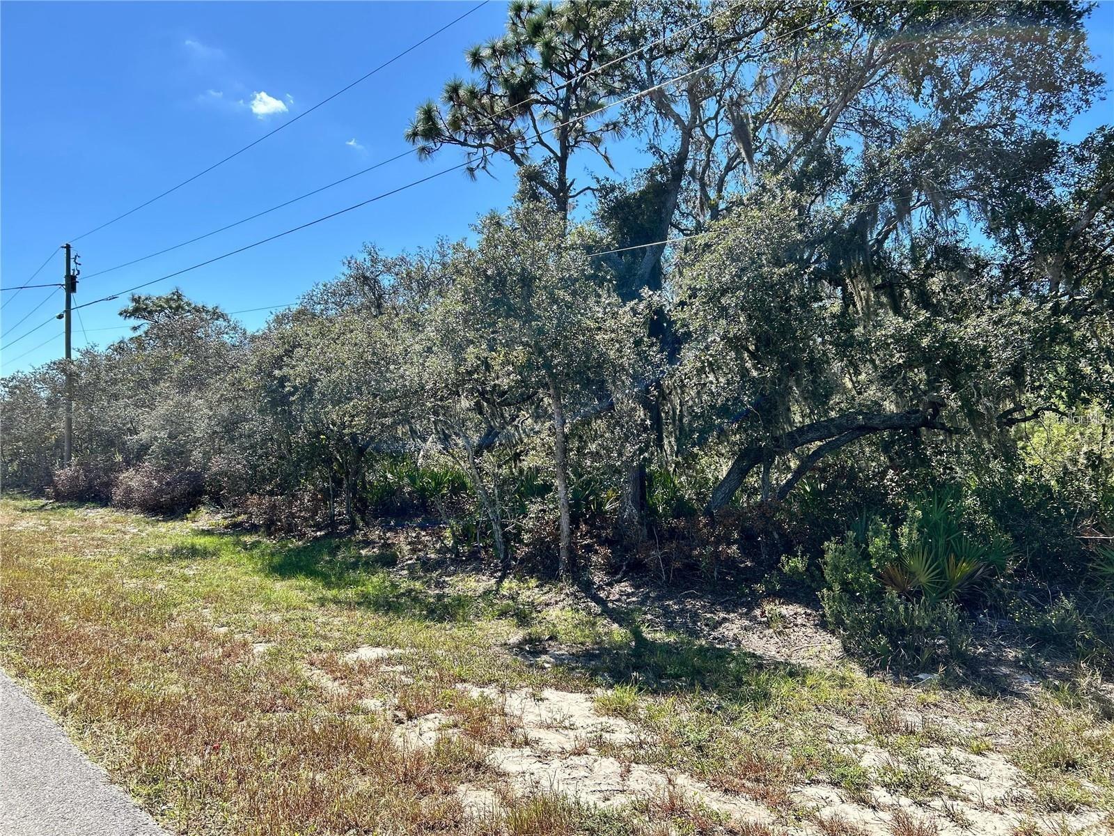 Woodstork Way Property Photo 3