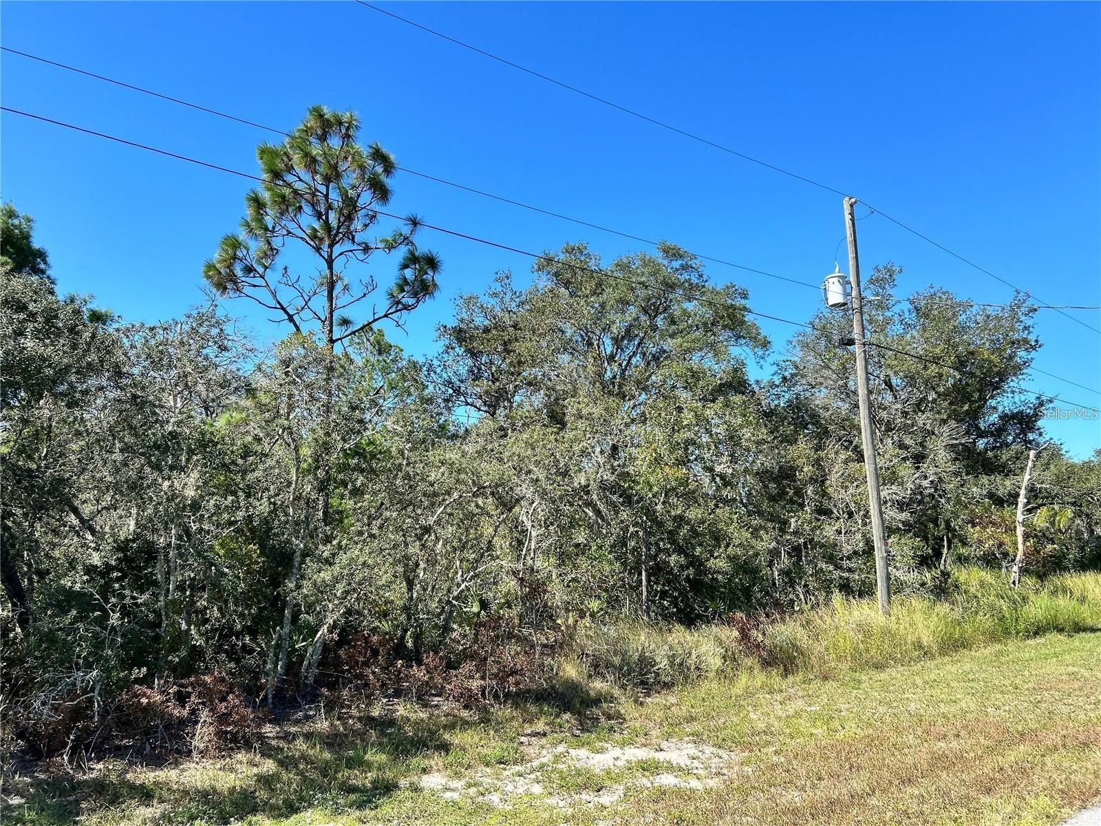 Woodstork Way Property Photo 6
