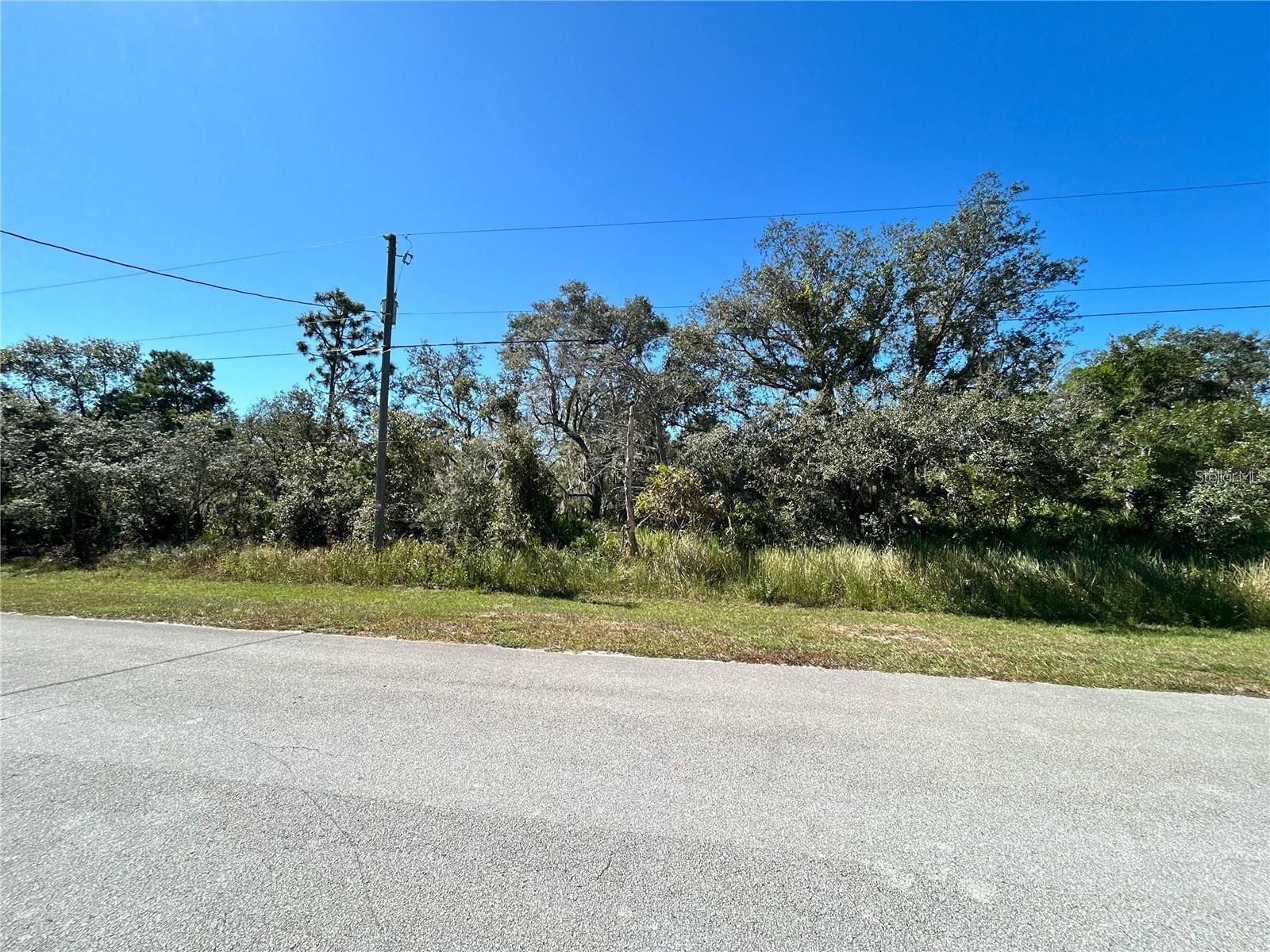 Woodstork Way Property Photo 18