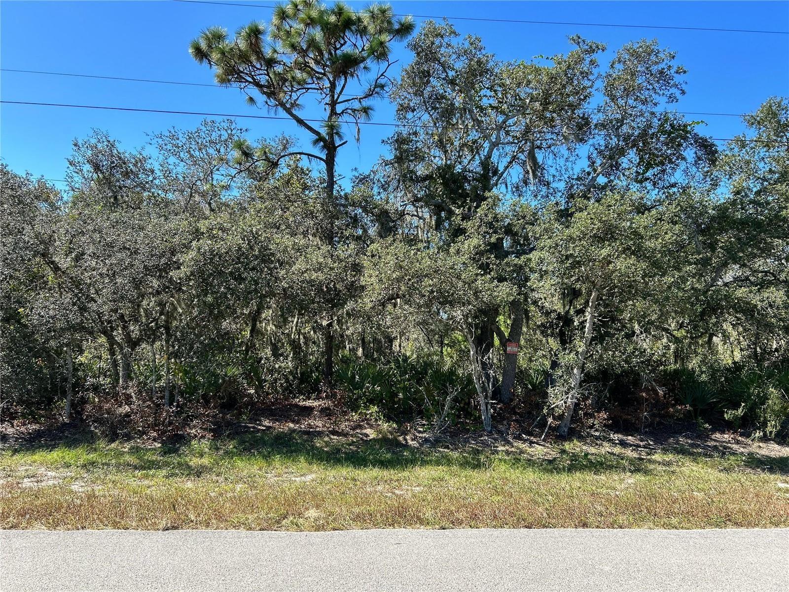 Woodstork Way Property Photo 1