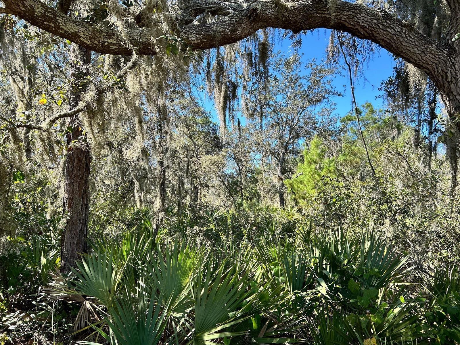 Woodstork Way Property Photo 5