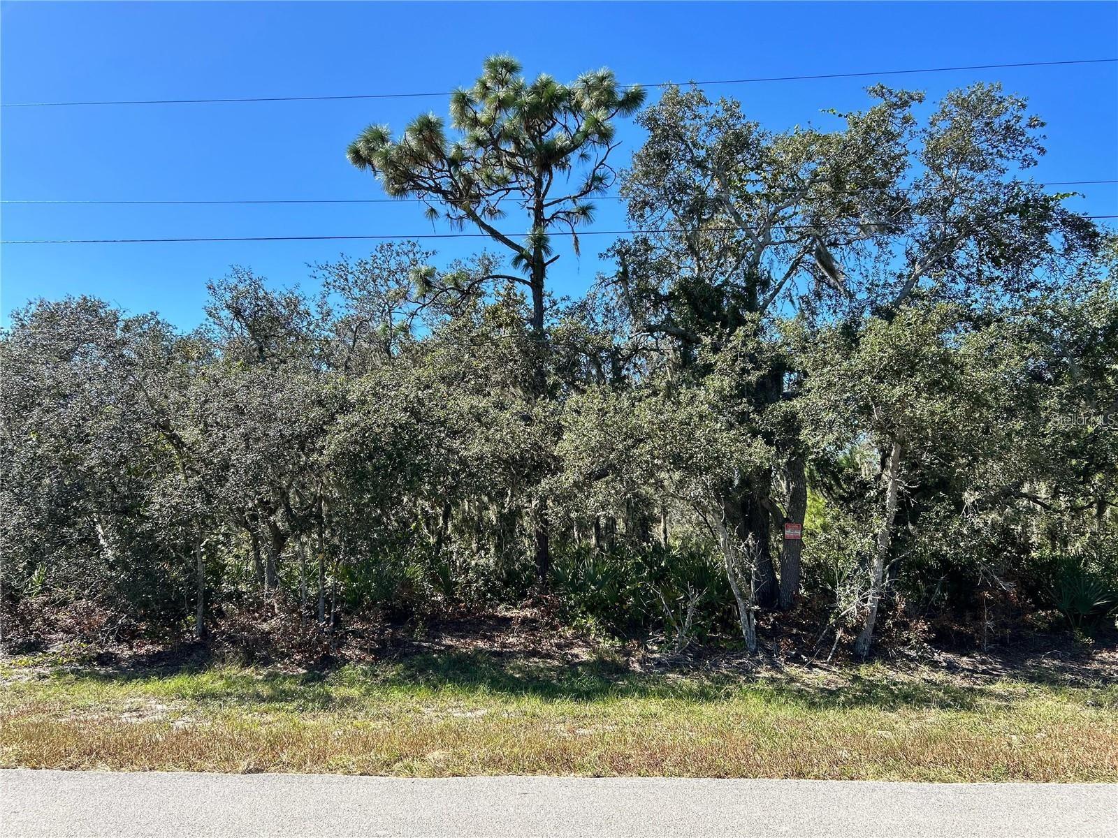 Woodstork Way Property Photo 10