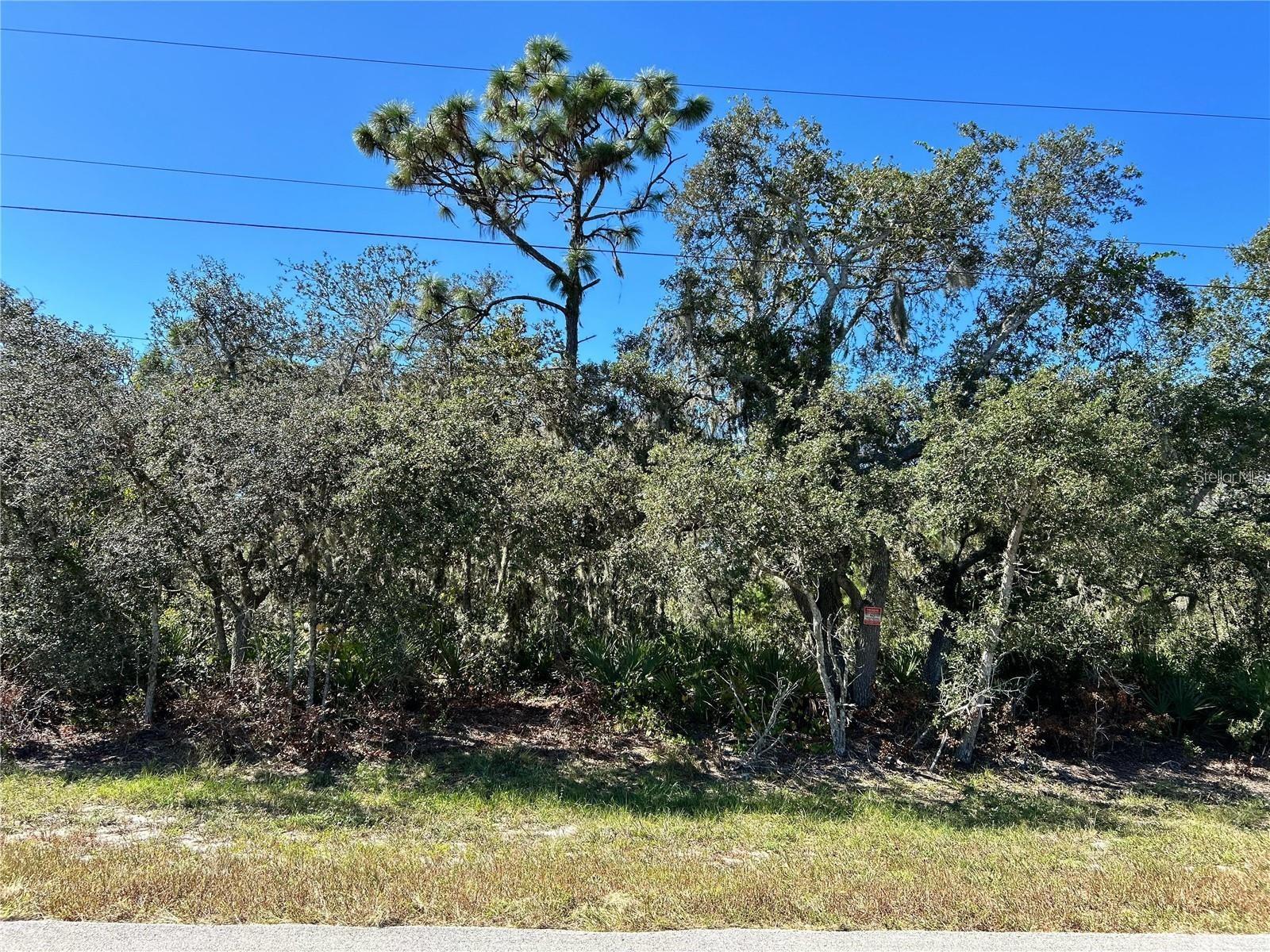 Woodstork Way Property Photo 11