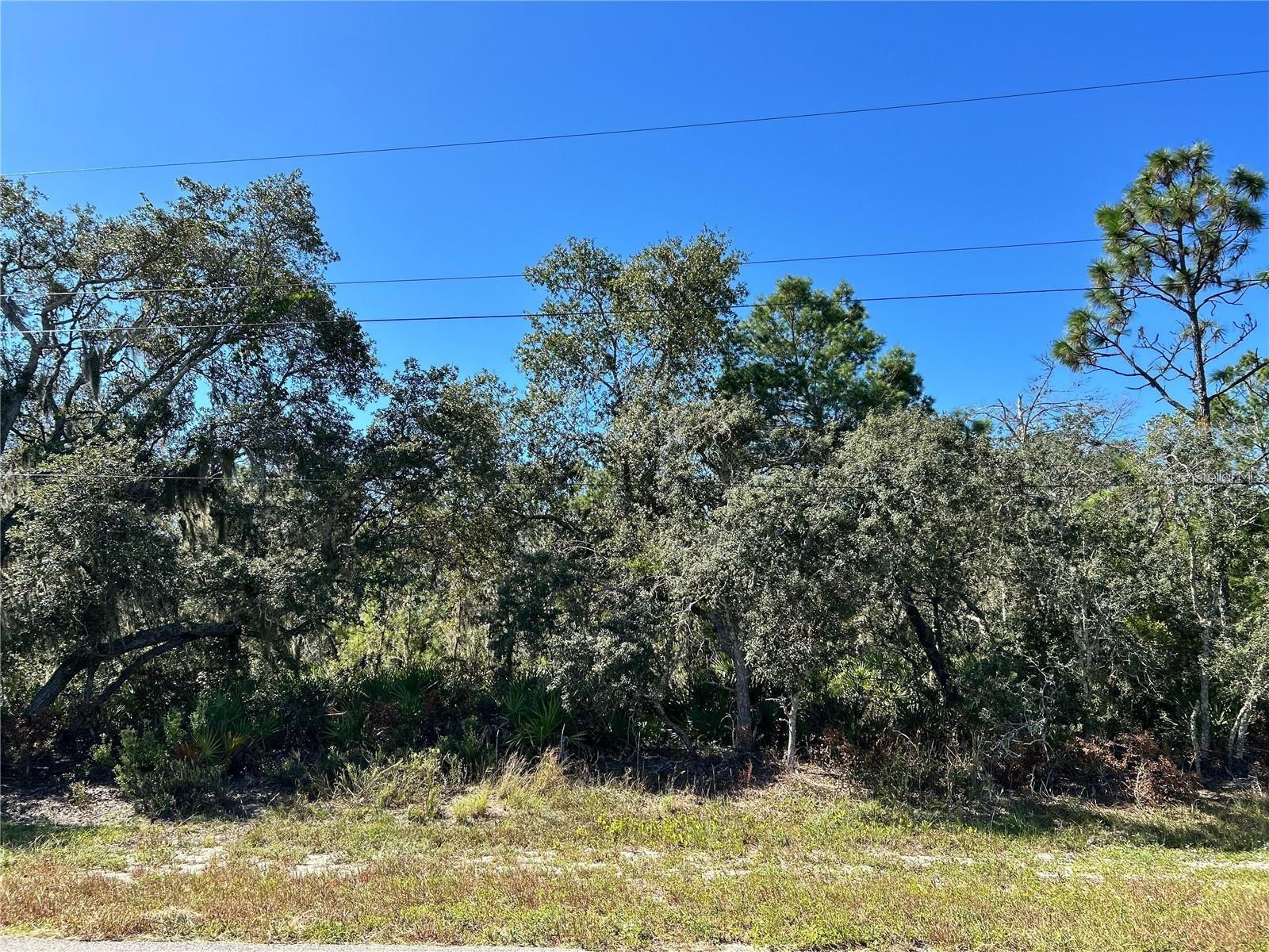 Woodstork Way Property Photo 12