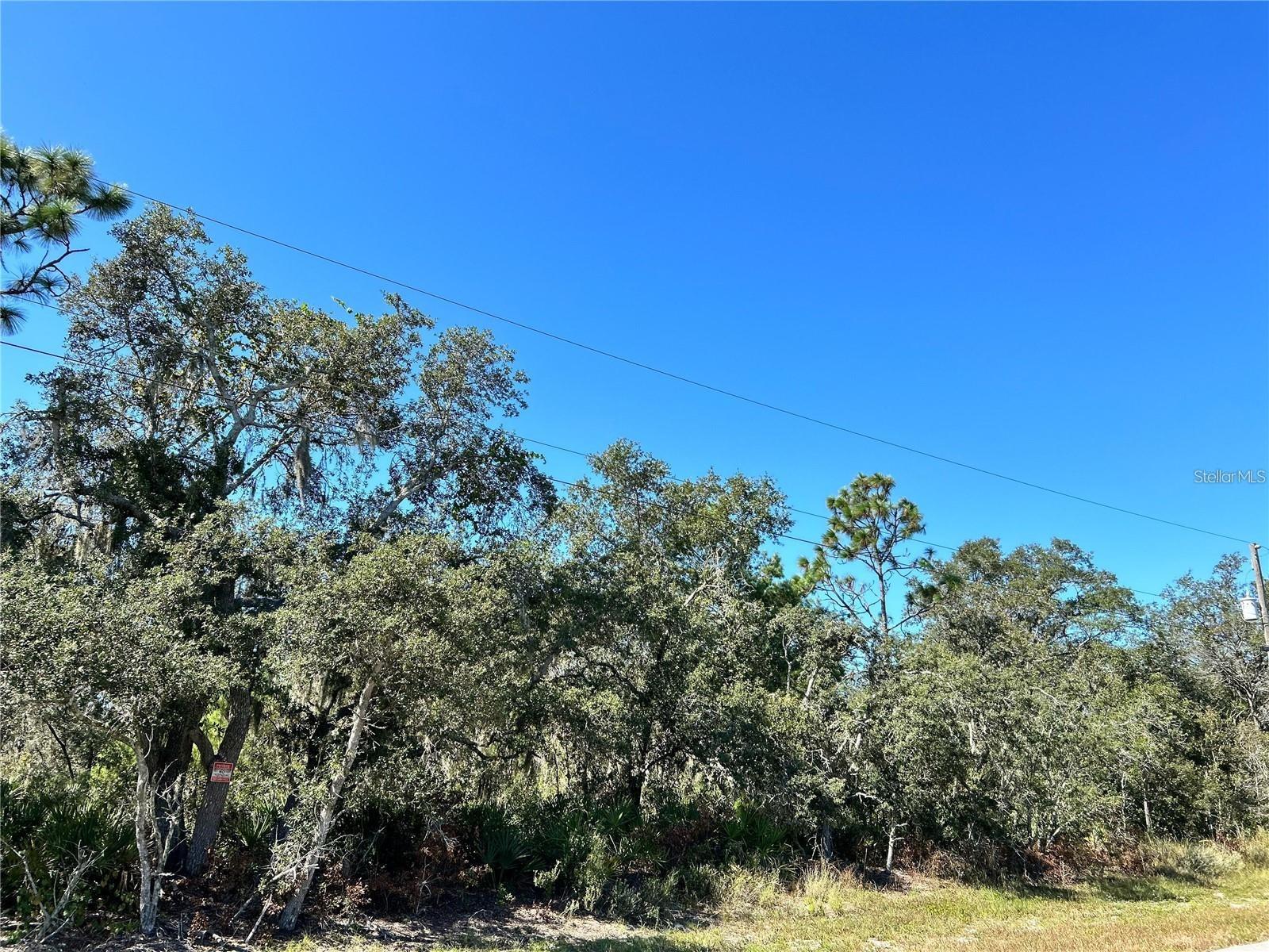Woodstork Way Property Photo 14