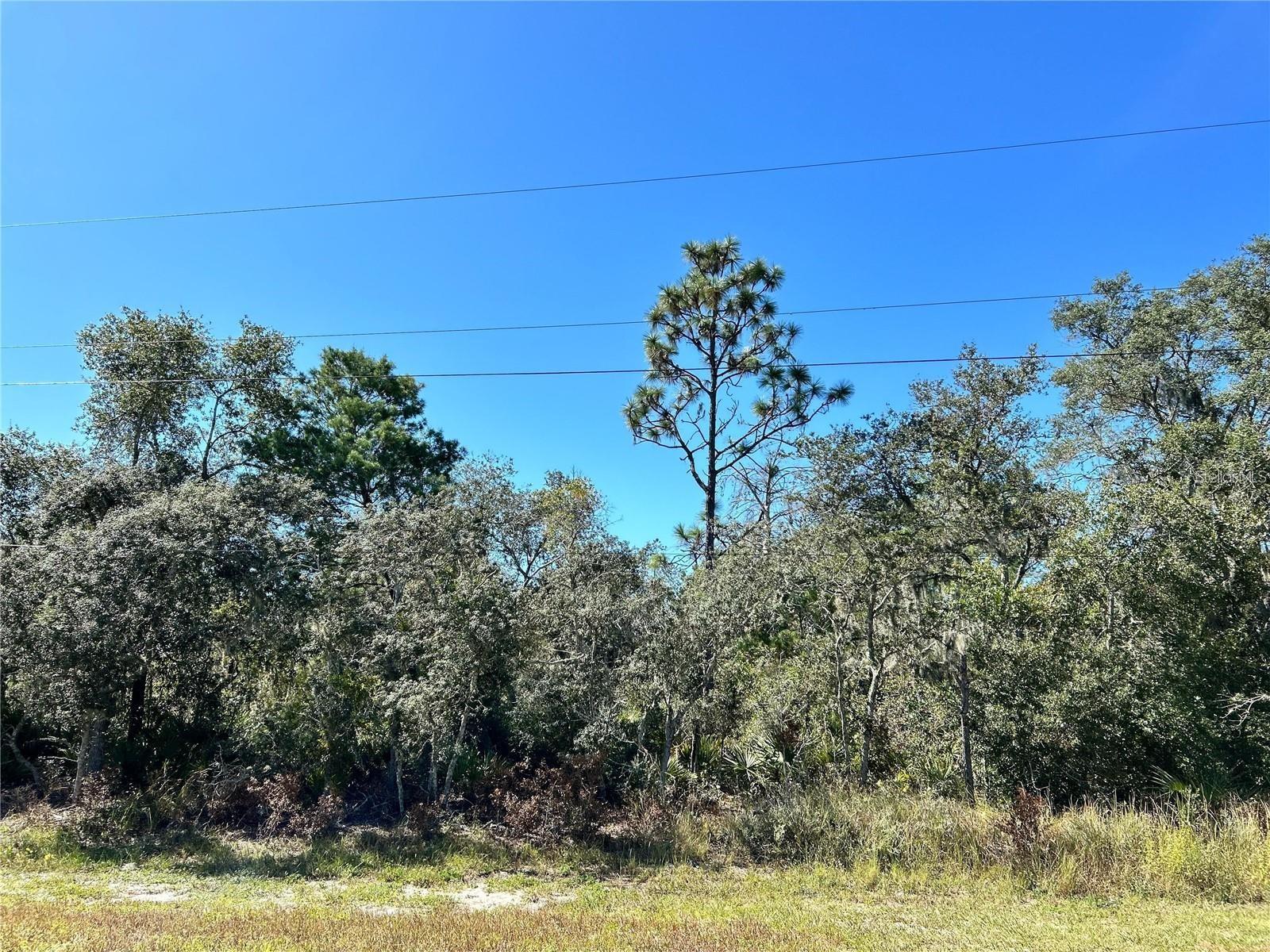 Woodstork Way Property Photo 15