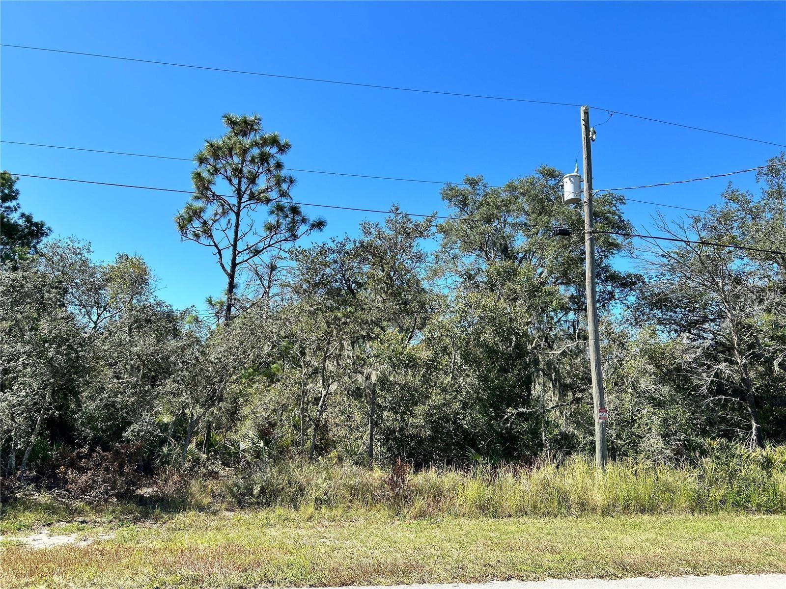 Woodstork Way Property Photo 16