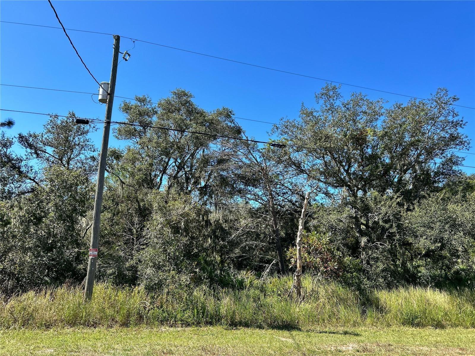 Woodstork Way Property Photo 18